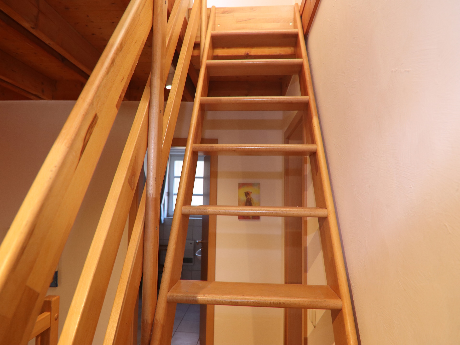 Op 300 m van zee: Ruim appartement voor 8 personen in Trassenheide - foto 34