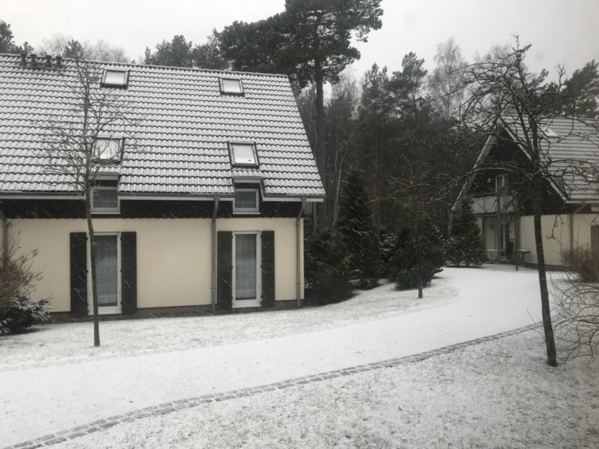 Op 300 m van zee: modern appartement voor 4 personen in Trassenheide - foto 7