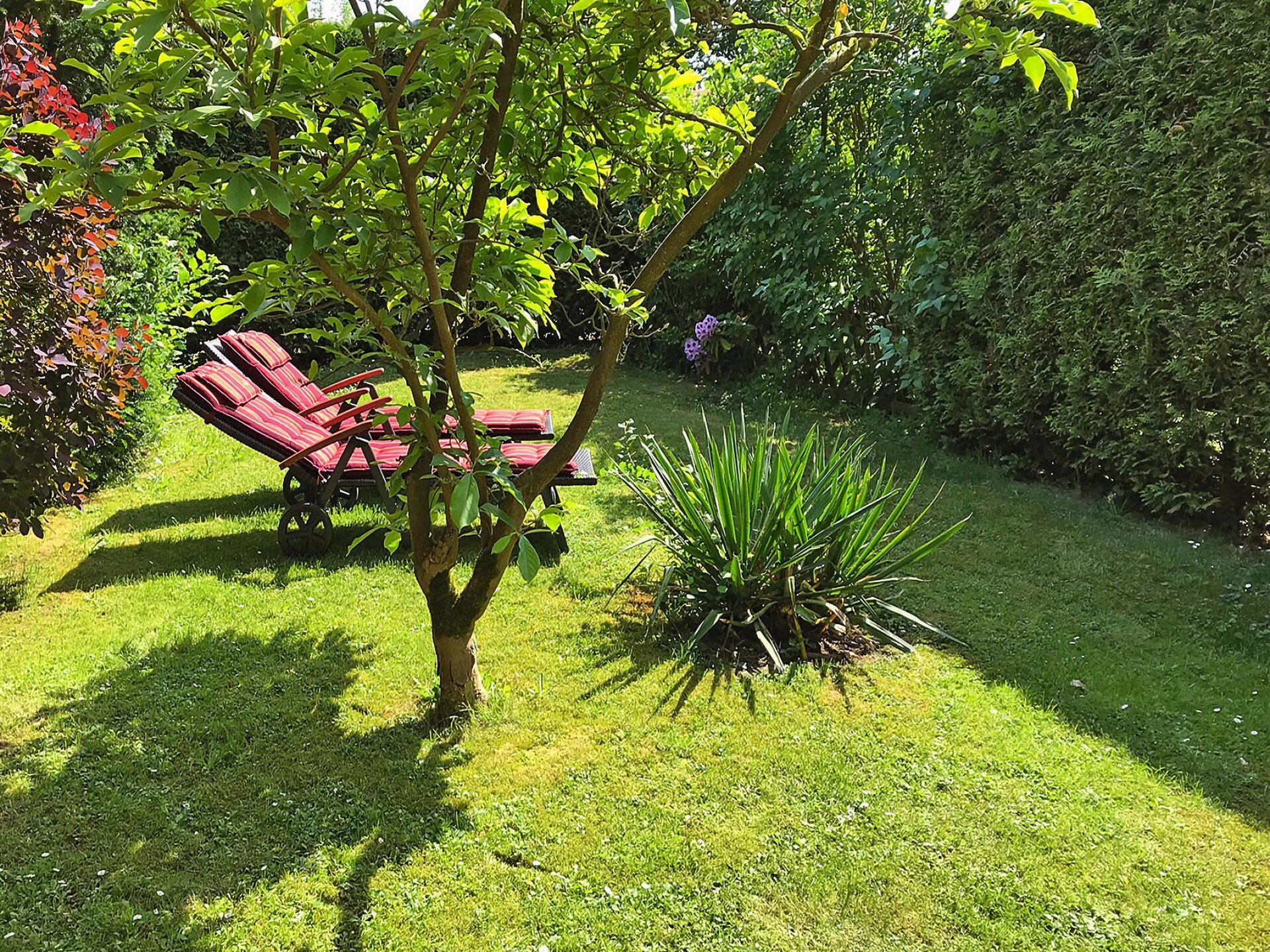 Vrijstaand vakantiehuis met tegelkachel in Suhlendorf, direct aan de Lüneburger Heide - foto 5