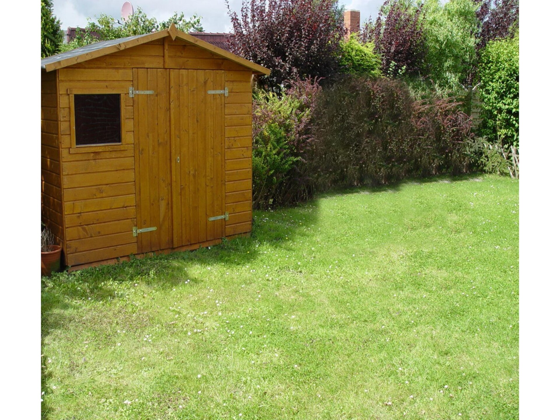 Knusse bungalow bij zee met fietsen, tuin en tennisbaan in Dornumersiel - foto 12