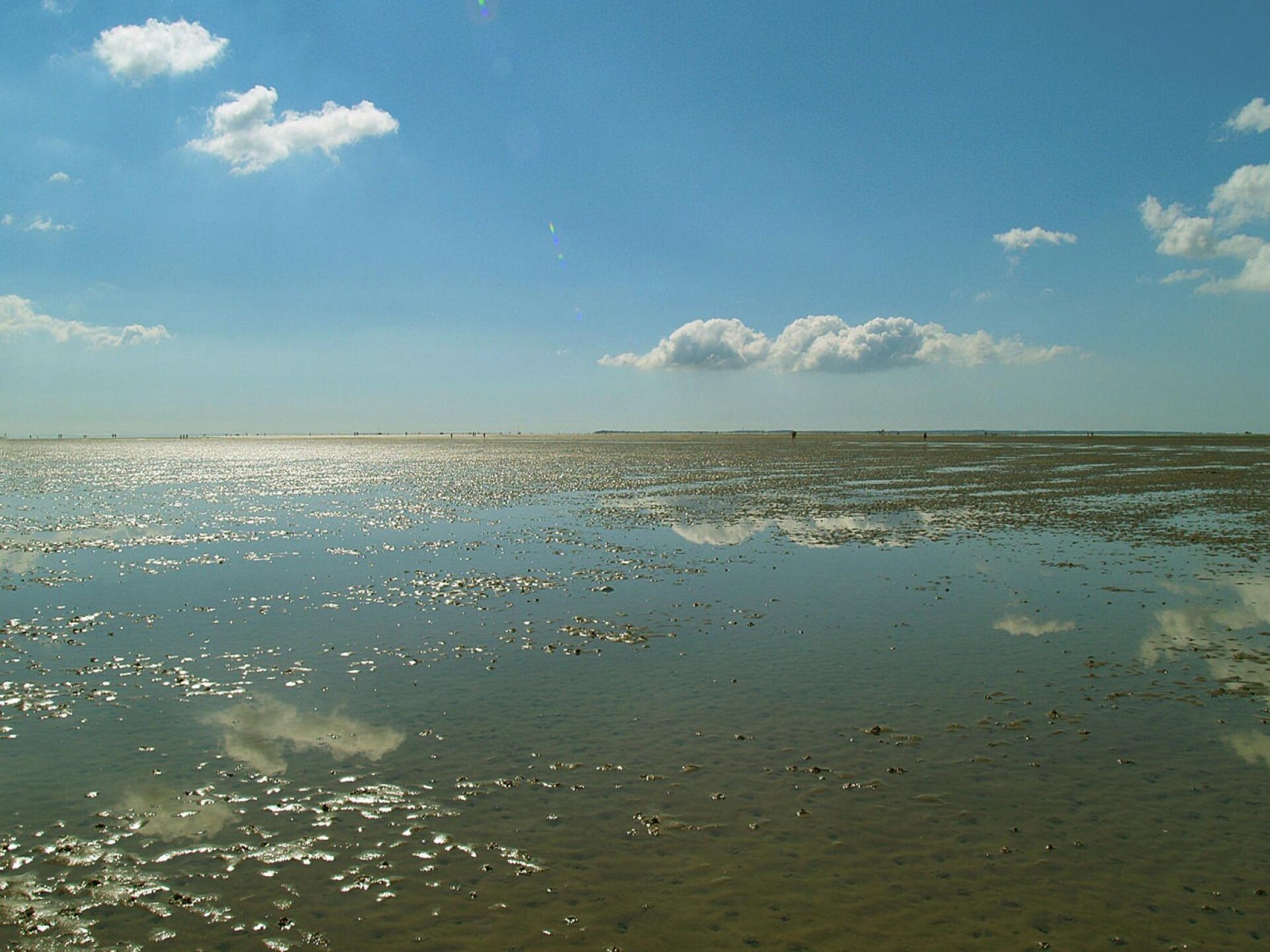 Strandappartement in Wyk auf Föhr met balkon en sauna, 350m van zee - foto 22