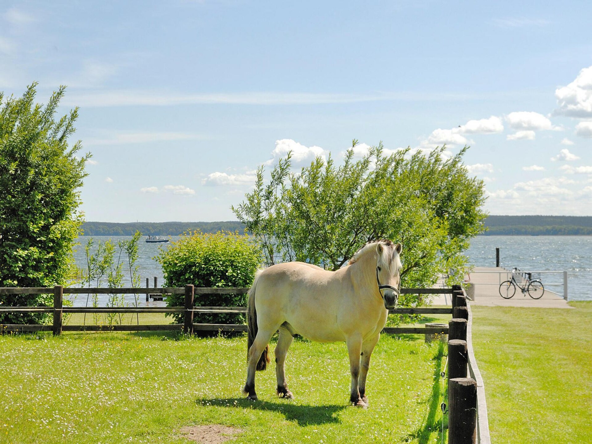 Rustiek vakantiehuis voor 4 aan de Plauer See met wellness en eigen meerstrand - foto 23