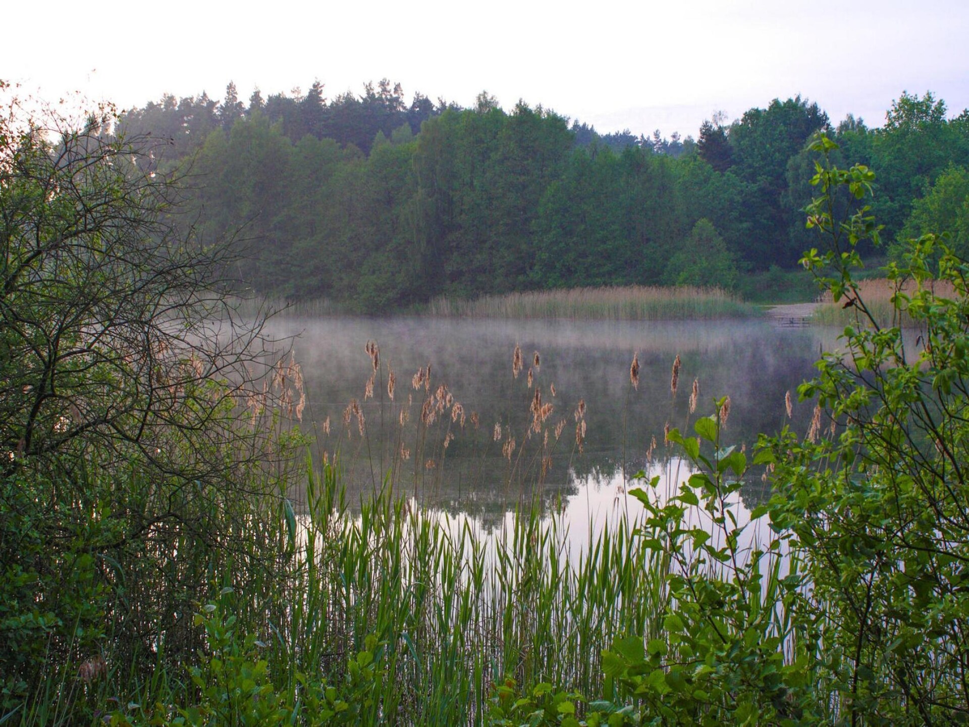 Doppelhaus Seepferdchen: Modern vakantiehuis aan de Gardersee in Mecklenburg - foto 28