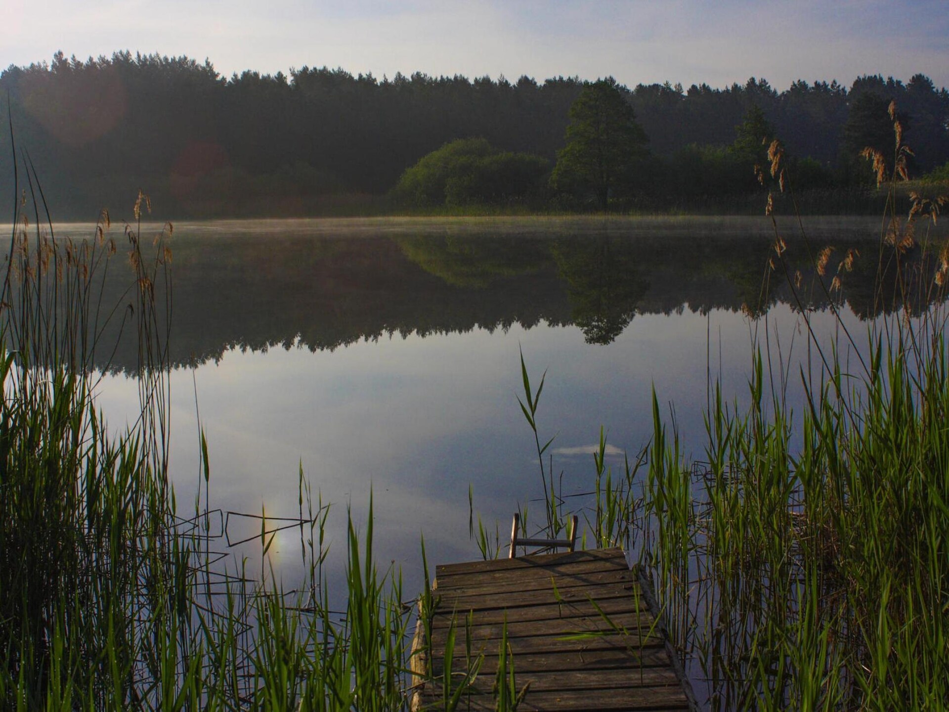 Doppelhaus Seepferdchen: Modern vakantiehuis aan de Gardersee in Mecklenburg - foto 32
