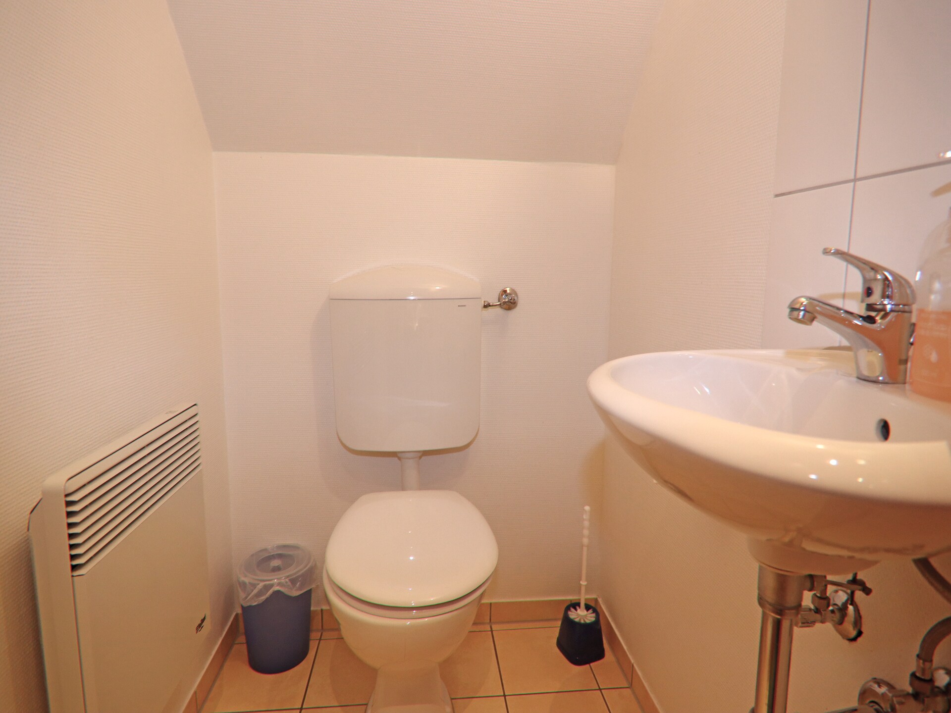 Groots vakantiehuis voor 21 personen bij de Müritz met twee woningen - foto 32