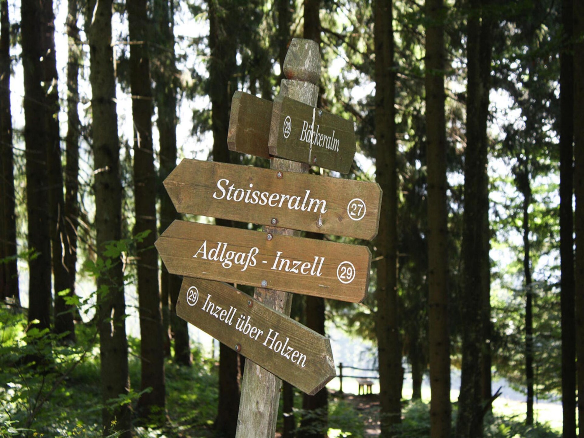 6-persoons chalet in Inzell aan de piste met sauna en zwembad - foto 18