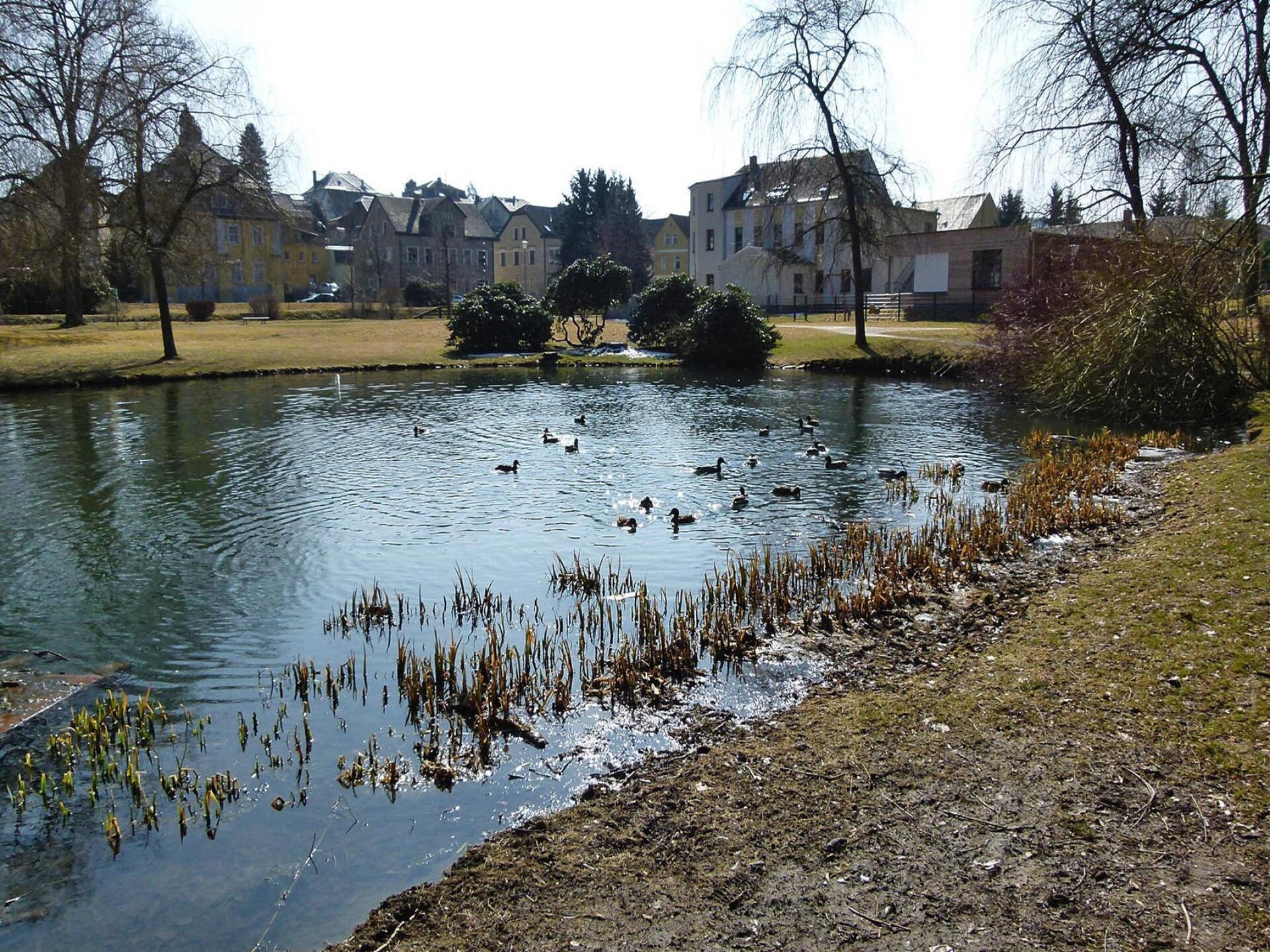 Knus appartement op de bovenverdieping met uitzicht op de tuin in Ellefeld - foto 11