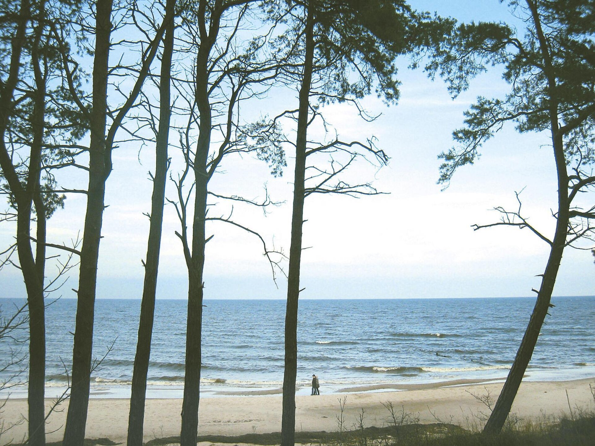 Appartement met zeezicht op 100m van het strand in Ahlbeck - foto 37