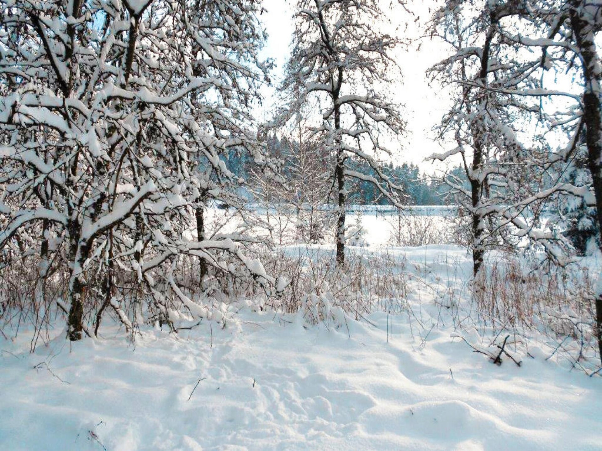 Knus appartement met sauna en houtkachel op 100m van de piste in Clausthal-Zellerfeld - foto 30