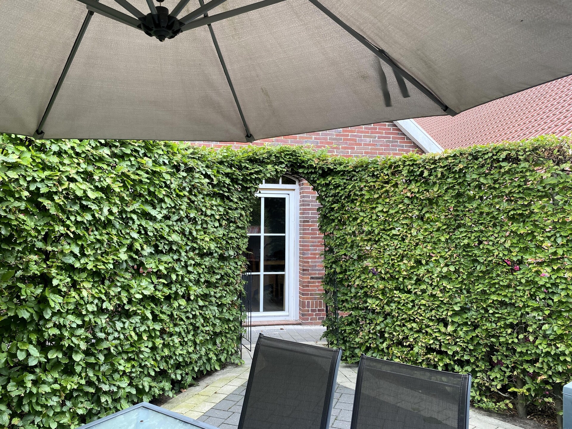 Vakantieappartement bij paarden en dieren op het Oost-Friese platteland - foto 20