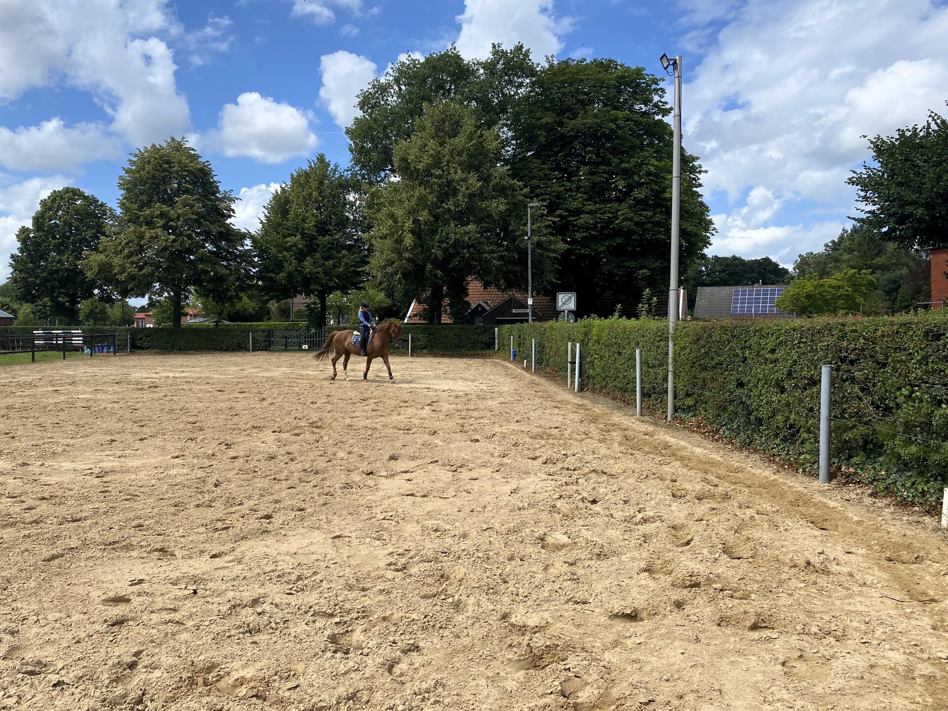 Vakantieappartement bij paarden en dieren op het Oost-Friese platteland - foto 27