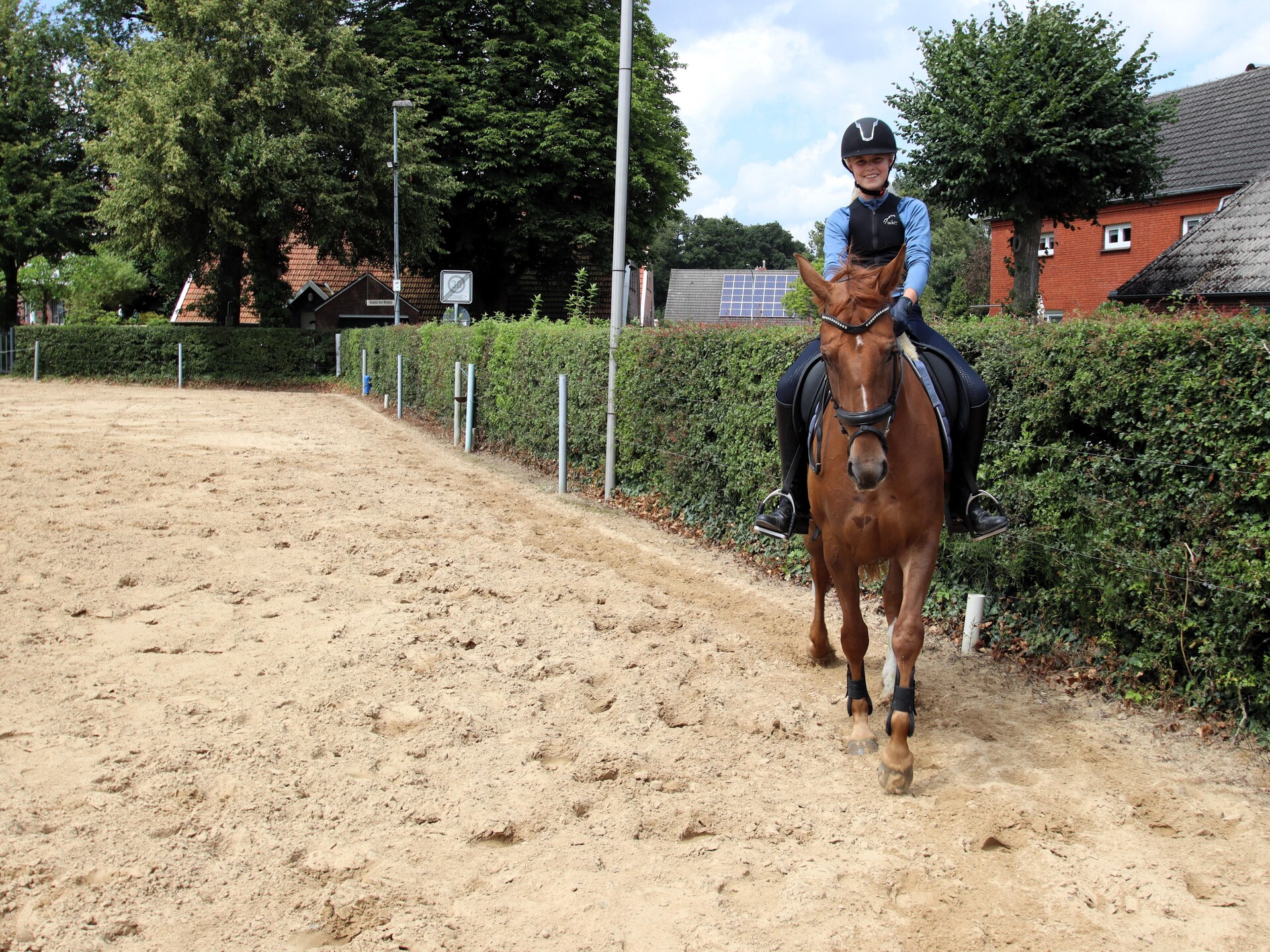 Vakantieappartement bij paarden en dieren op het Oost-Friese platteland - foto 26