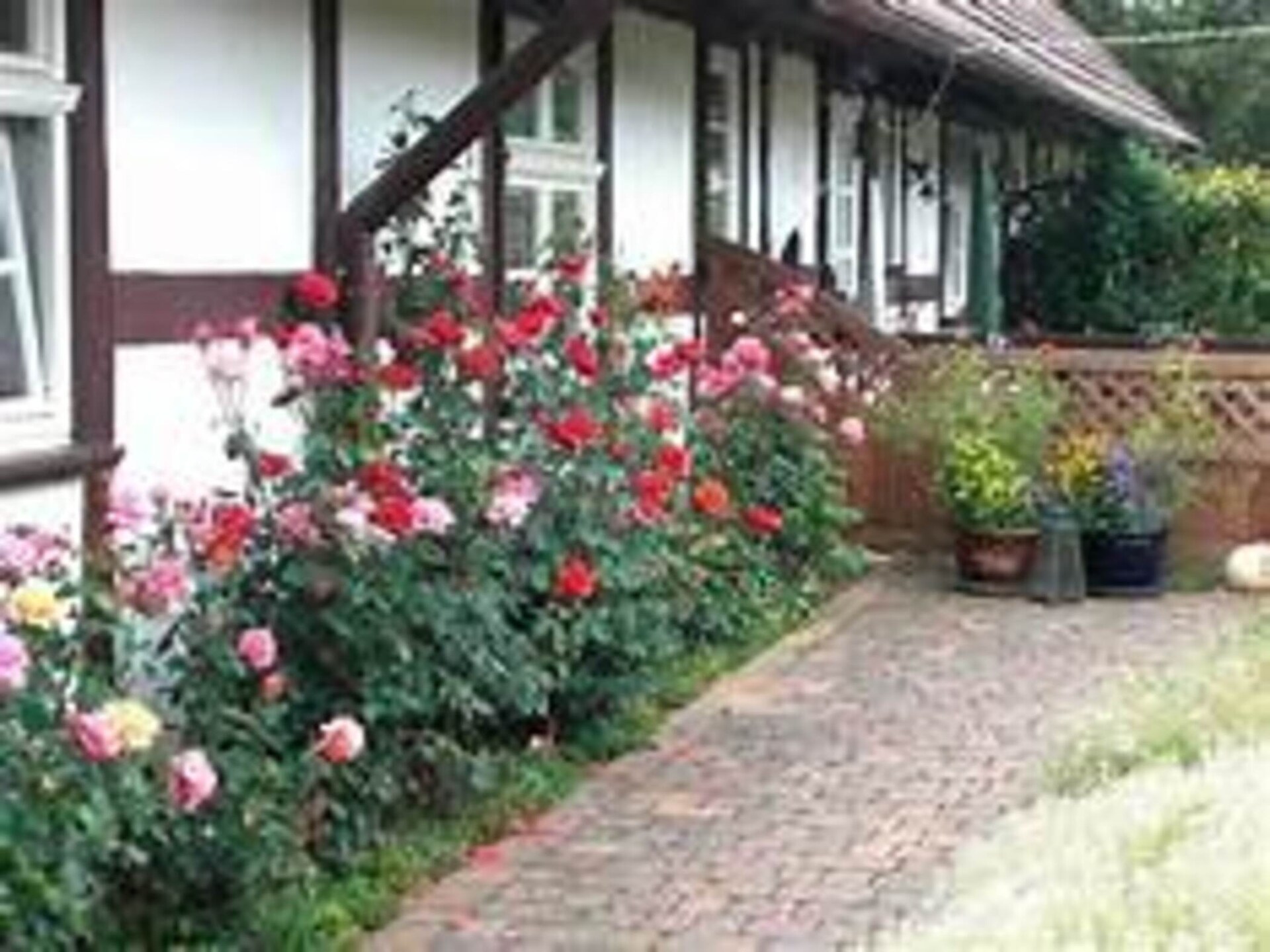 Knusse vakantiewoning voor 4 bij het meer in Klocksin, Mecklenburg-Vorpommern - foto 14