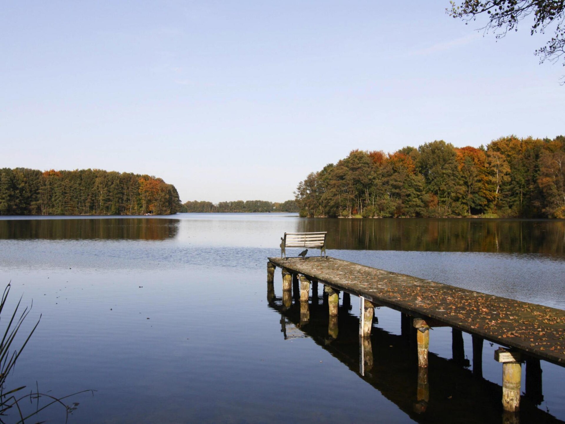 Vrijstaand vakantiehuis voor 6 personen op 150 meter van de Dümmer See - foto 23