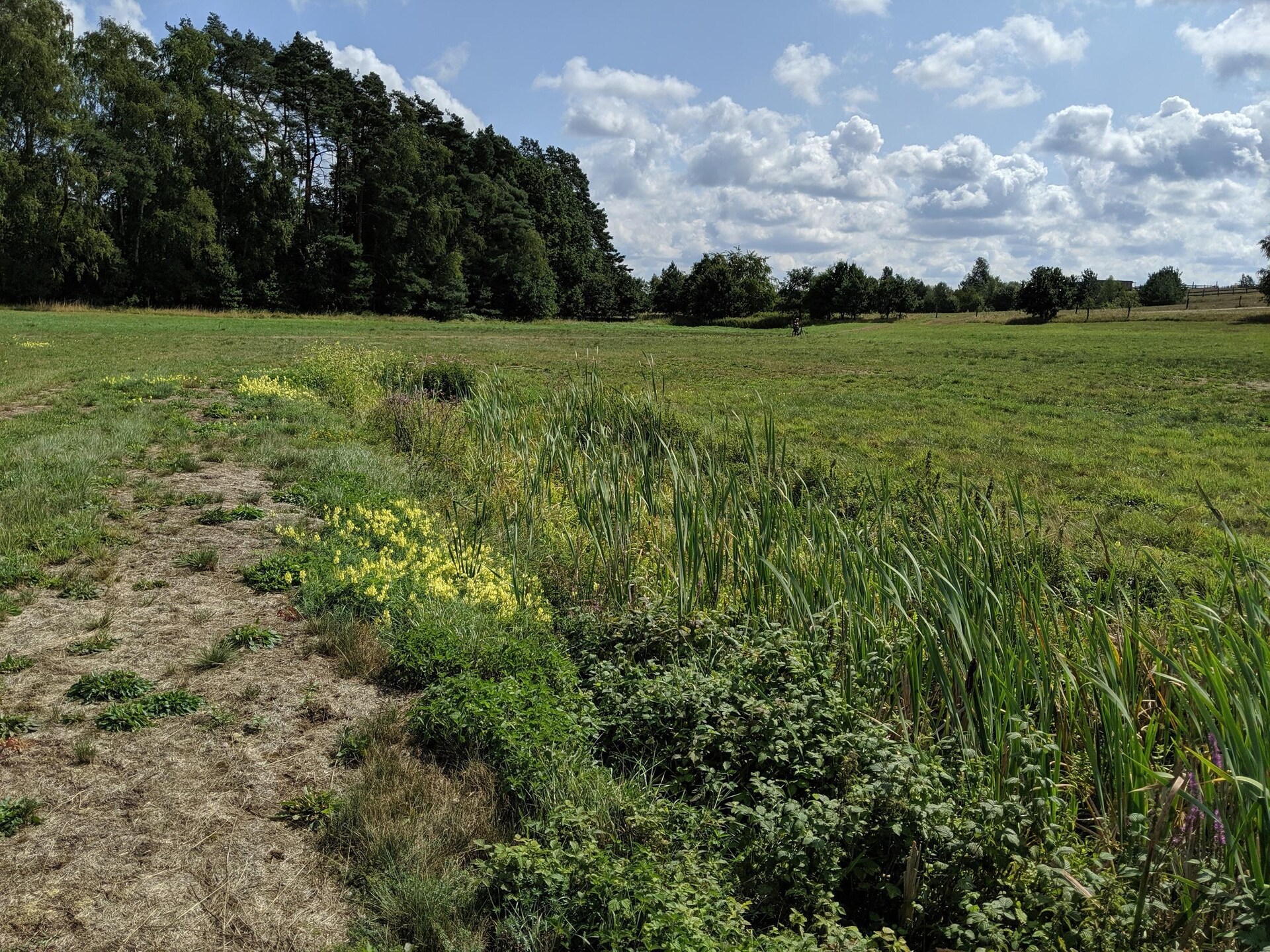 Wellness vakantiehuis in Linstow voor 6 personen nabij het meer - foto 22