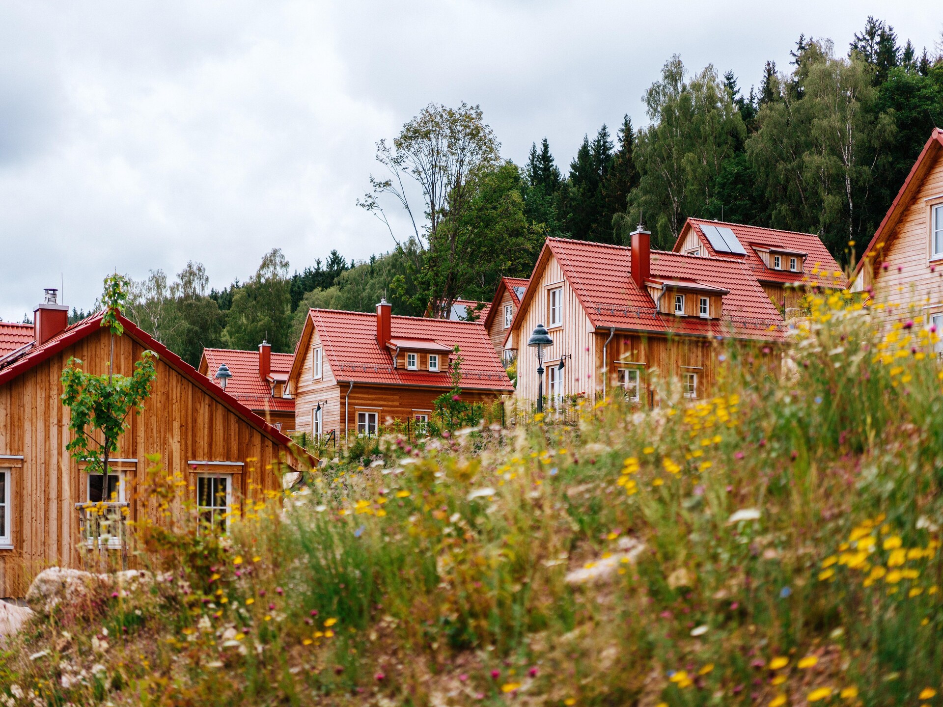 Luxe vakantiehuis voor 6 personen aan de voet van de Brocken in Schierke - foto 6