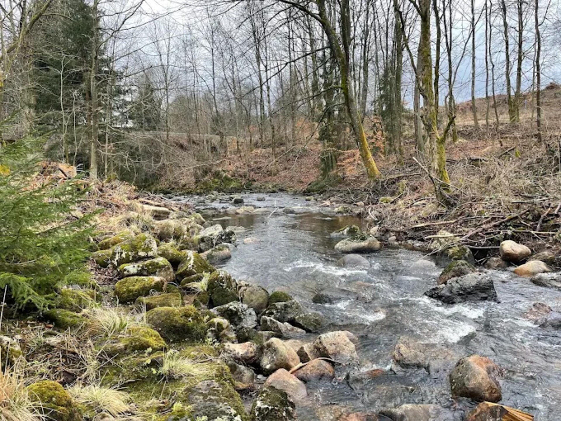 Luxe vakantiehuis voor 6 personen aan de voet van de Brocken in Schierke - foto 30