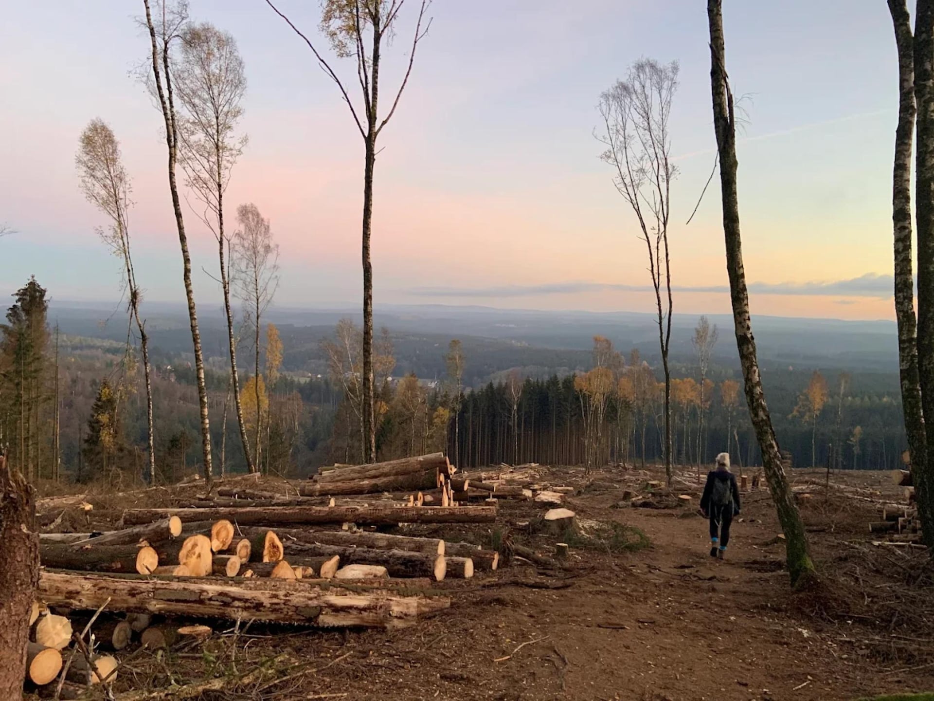 8-persoons luxe vakantiehuis in Schierke op 800m van de piste - foto 31