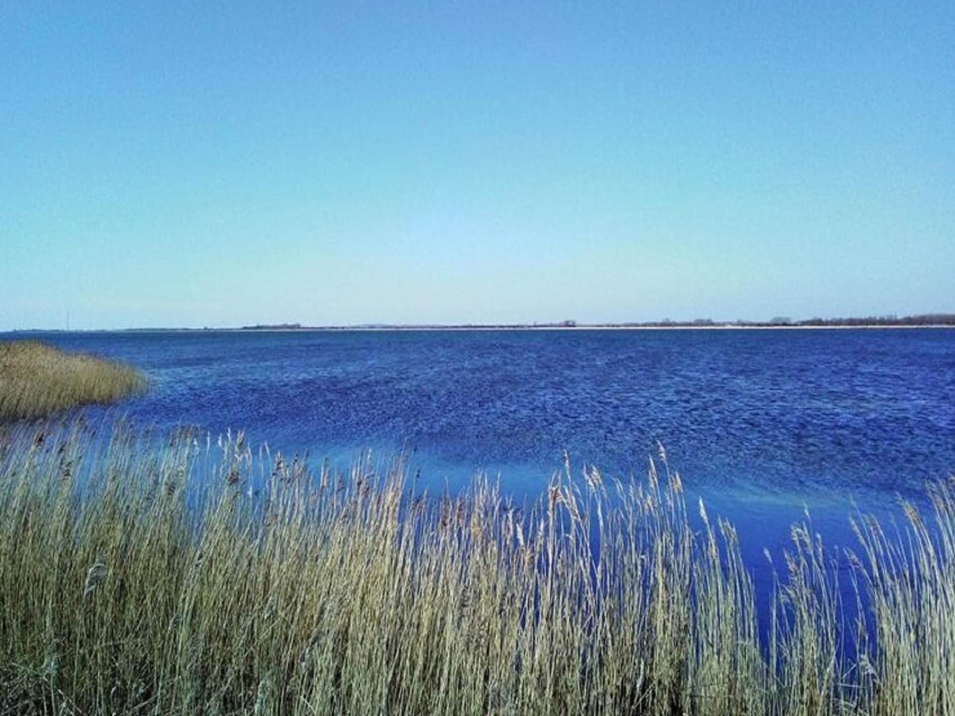Rieten droom aan de Bodden: vrijstaand vakantiehuis op 150 meter van het water - foto 11