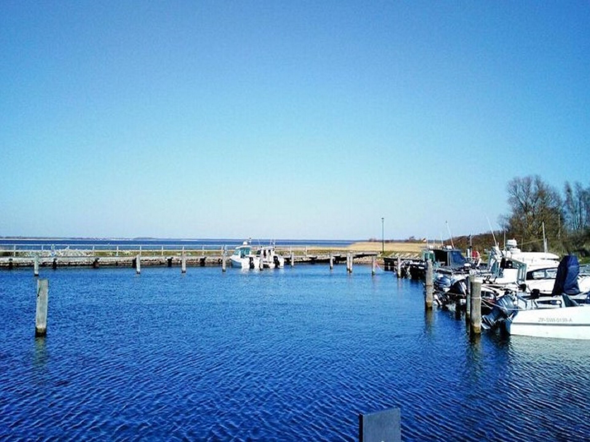 Rieten droom aan de Bodden: vrijstaand vakantiehuis op 150 meter van het water - foto 13
