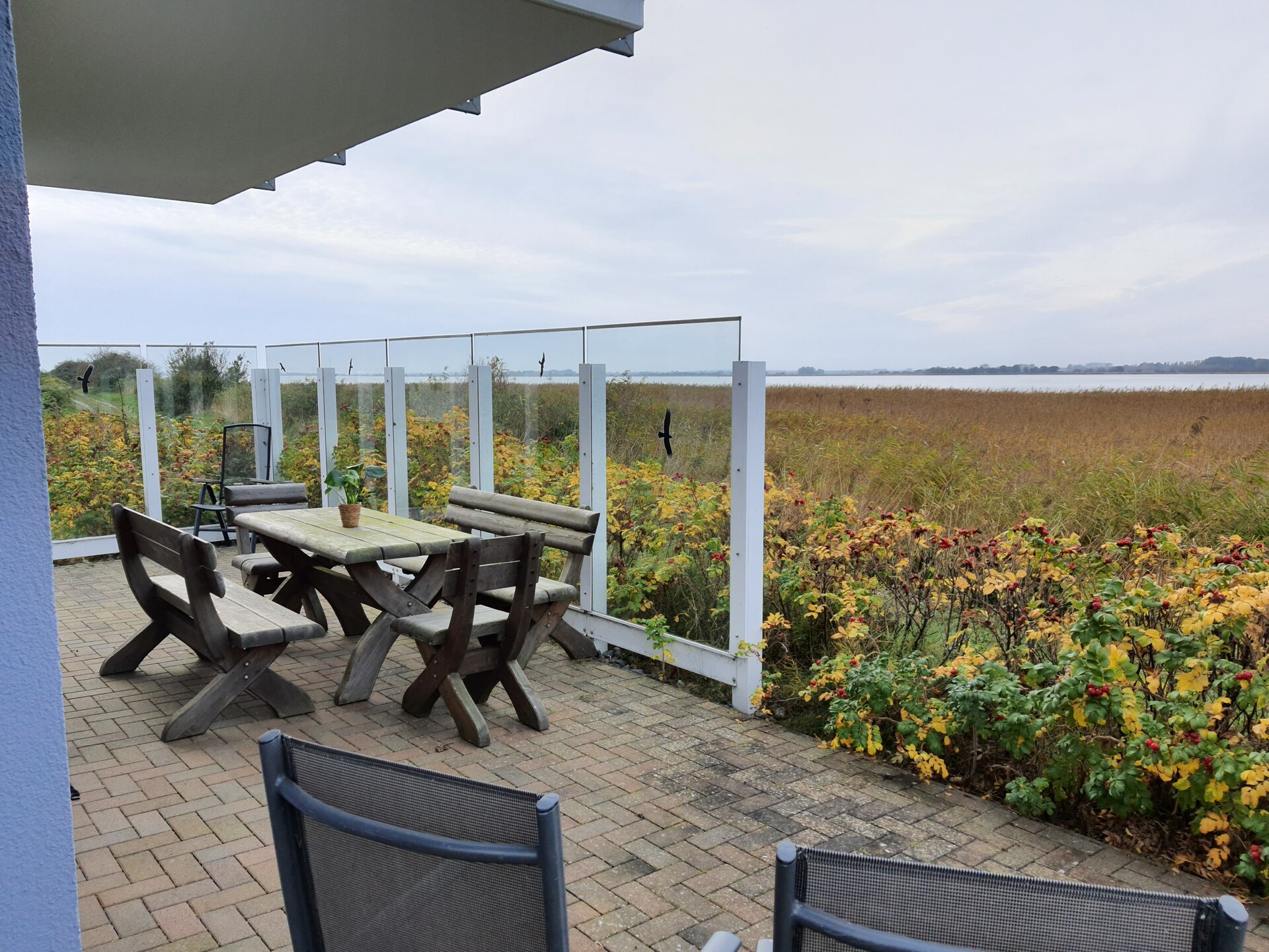 Rieten droom aan de Bodden: vrijstaand vakantiehuis op 150 meter van het water - foto 3