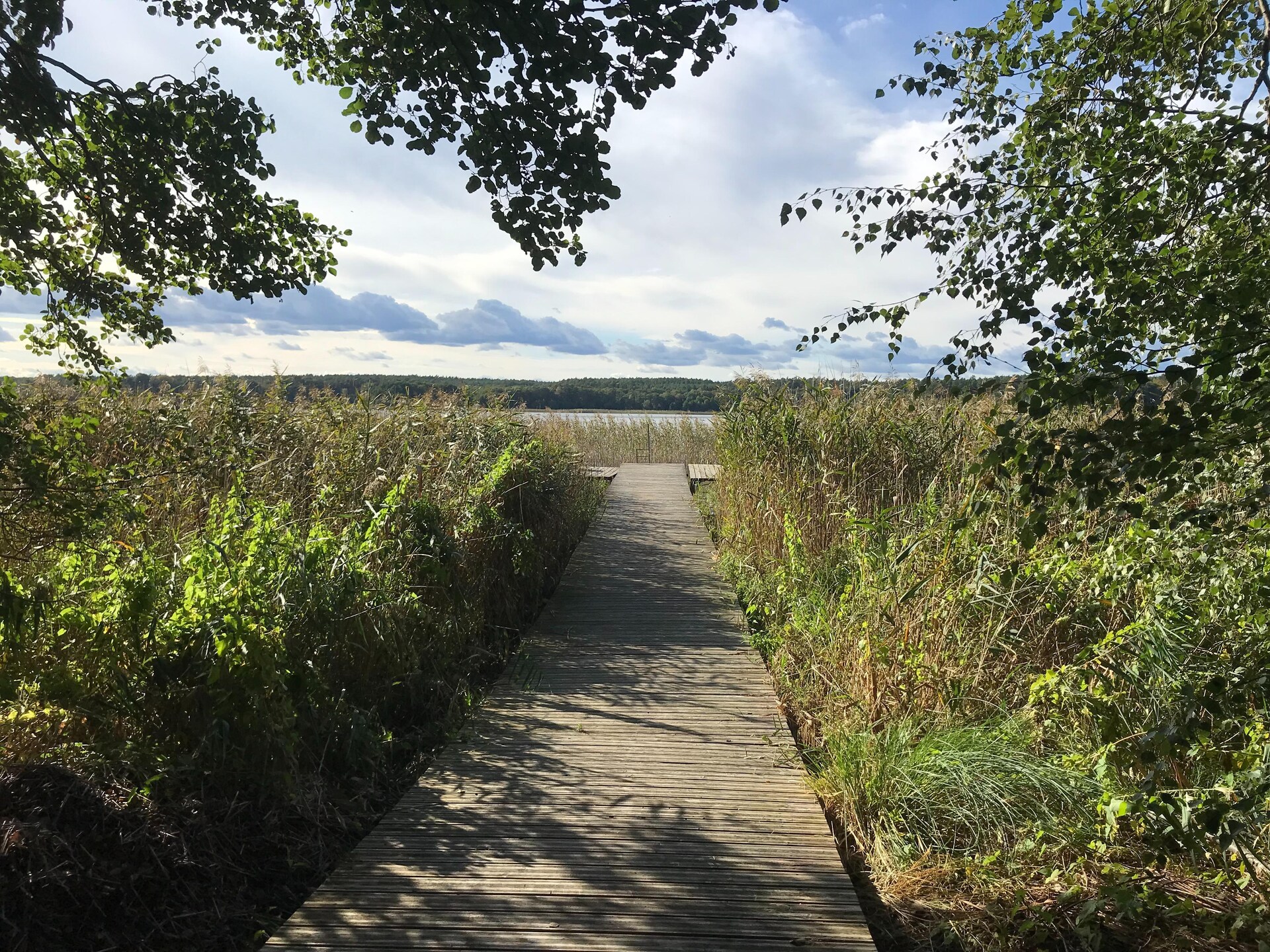 Scandinavisch vakantiehuis met sauna, 100m van het meer bij Müritz - foto 28