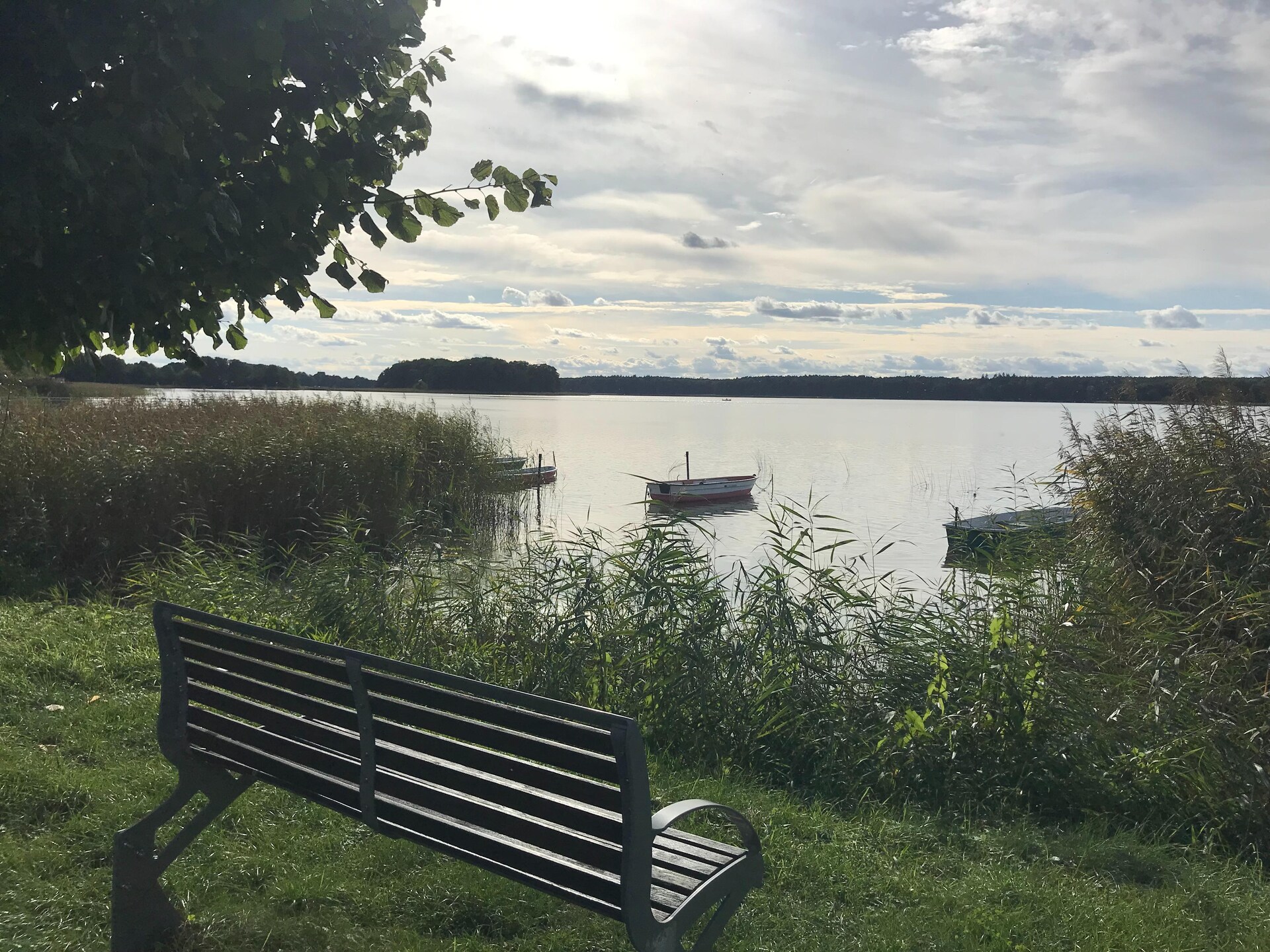 Scandinavisch vakantiehuis met sauna, 100m van het meer bij Müritz - foto 30