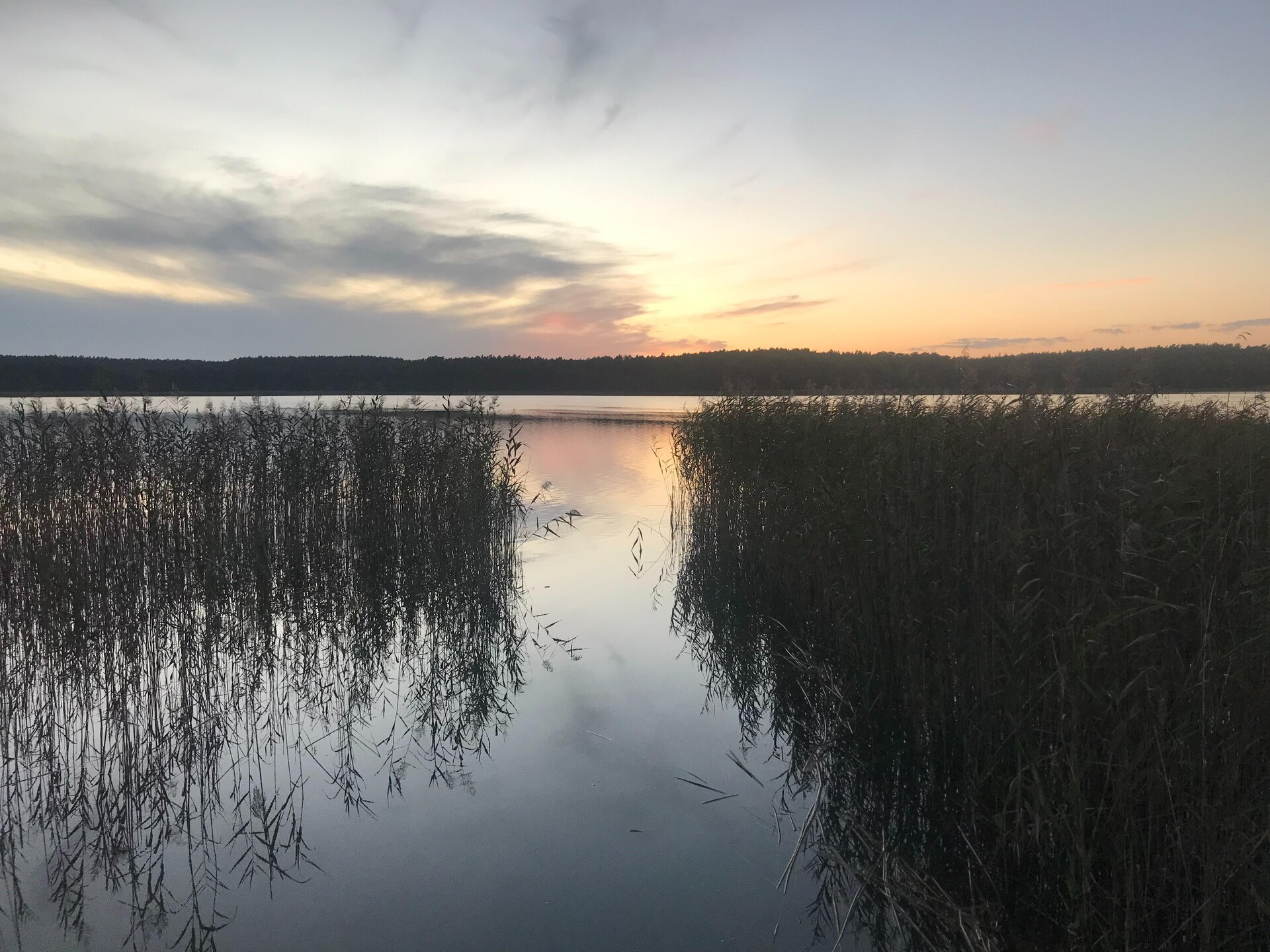 Scandinavisch vakantiehuis met sauna, 100m van het meer bij Müritz - foto 31