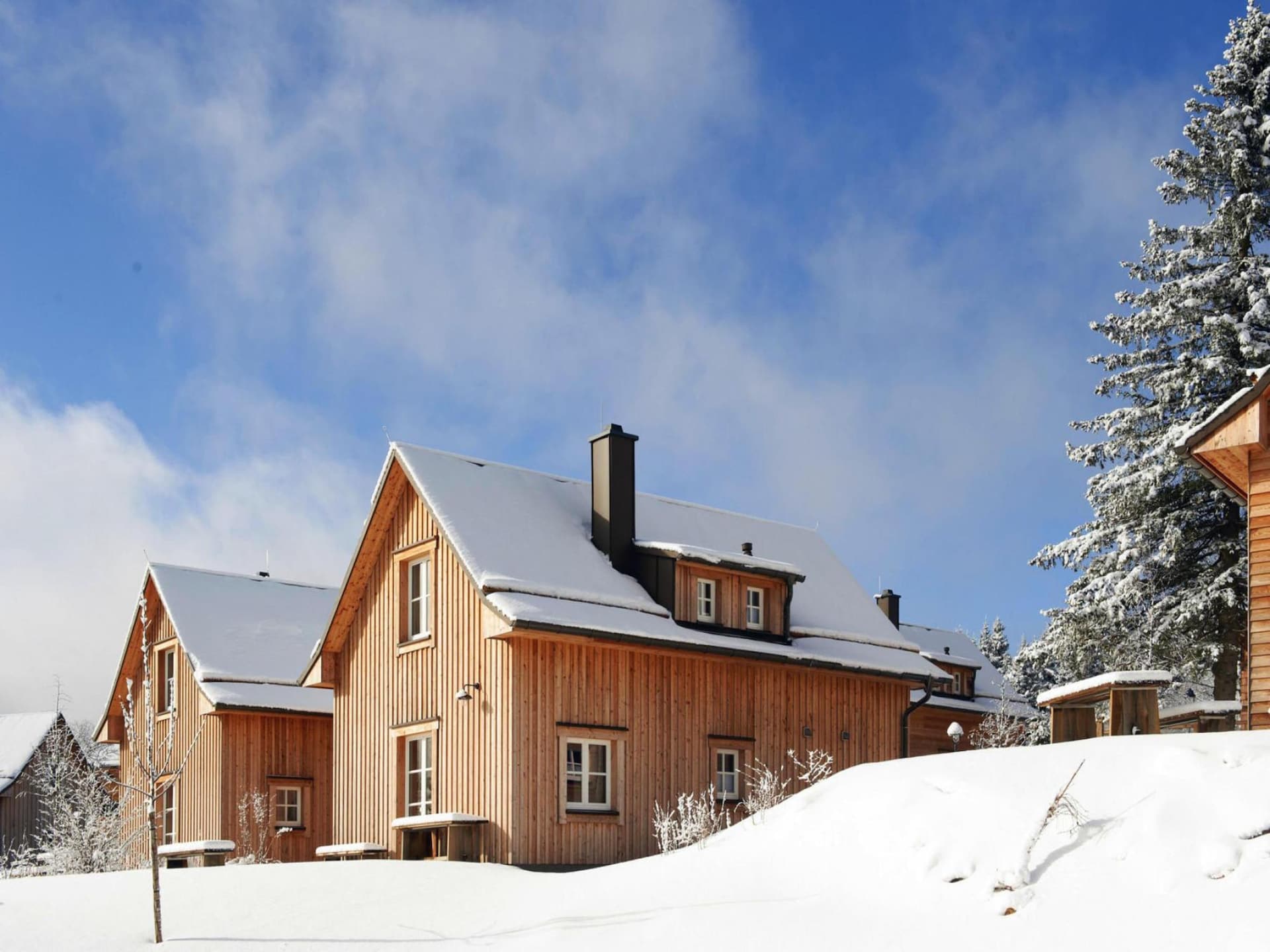 Wellness vakantiehuis in Torfhaus met sauna en uitzicht op de Brocken - foto 31