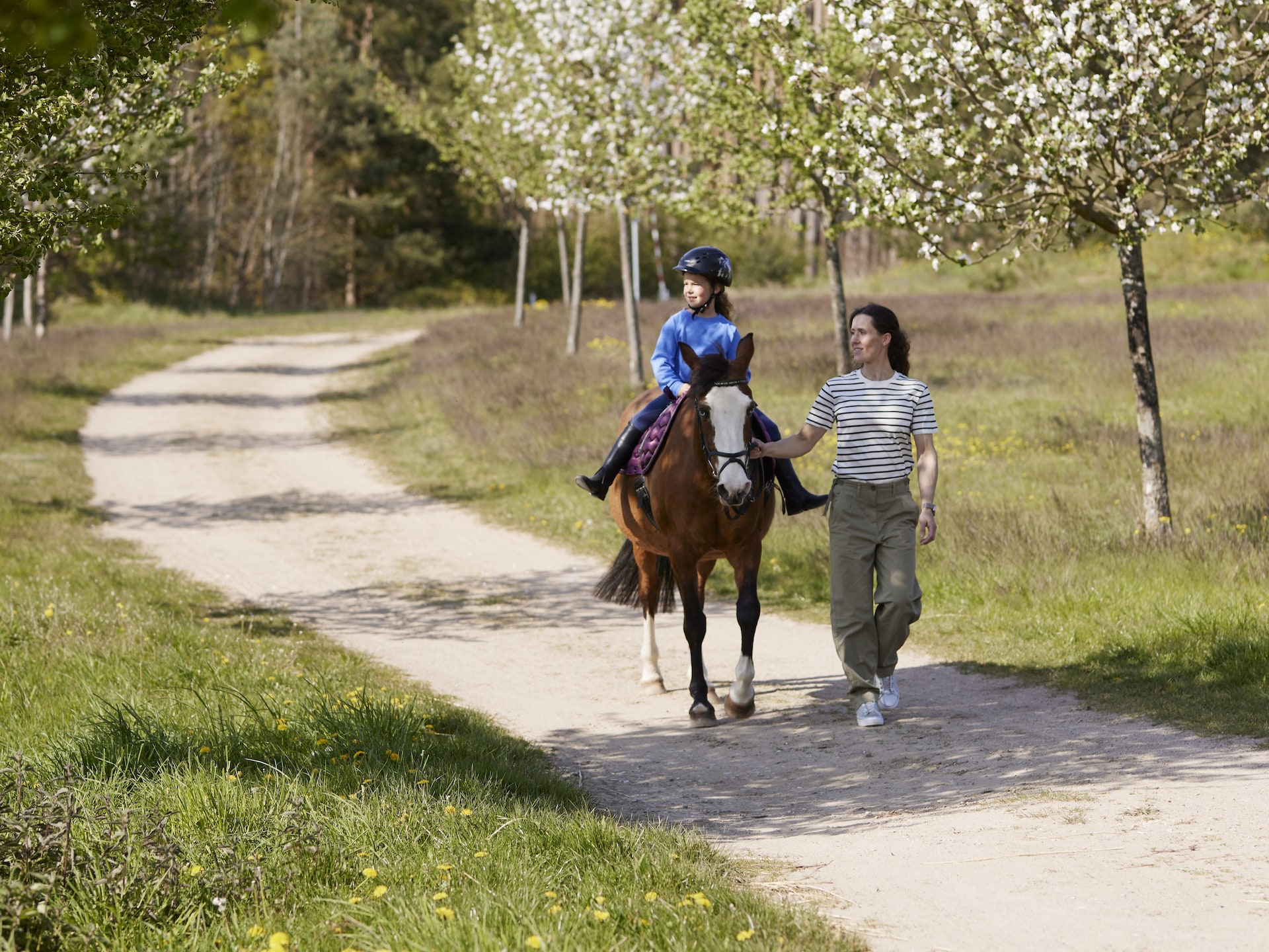 Vakantiehuis in Linstow op 1,0 km van het meer met wellness · 8 pers. - foto 15