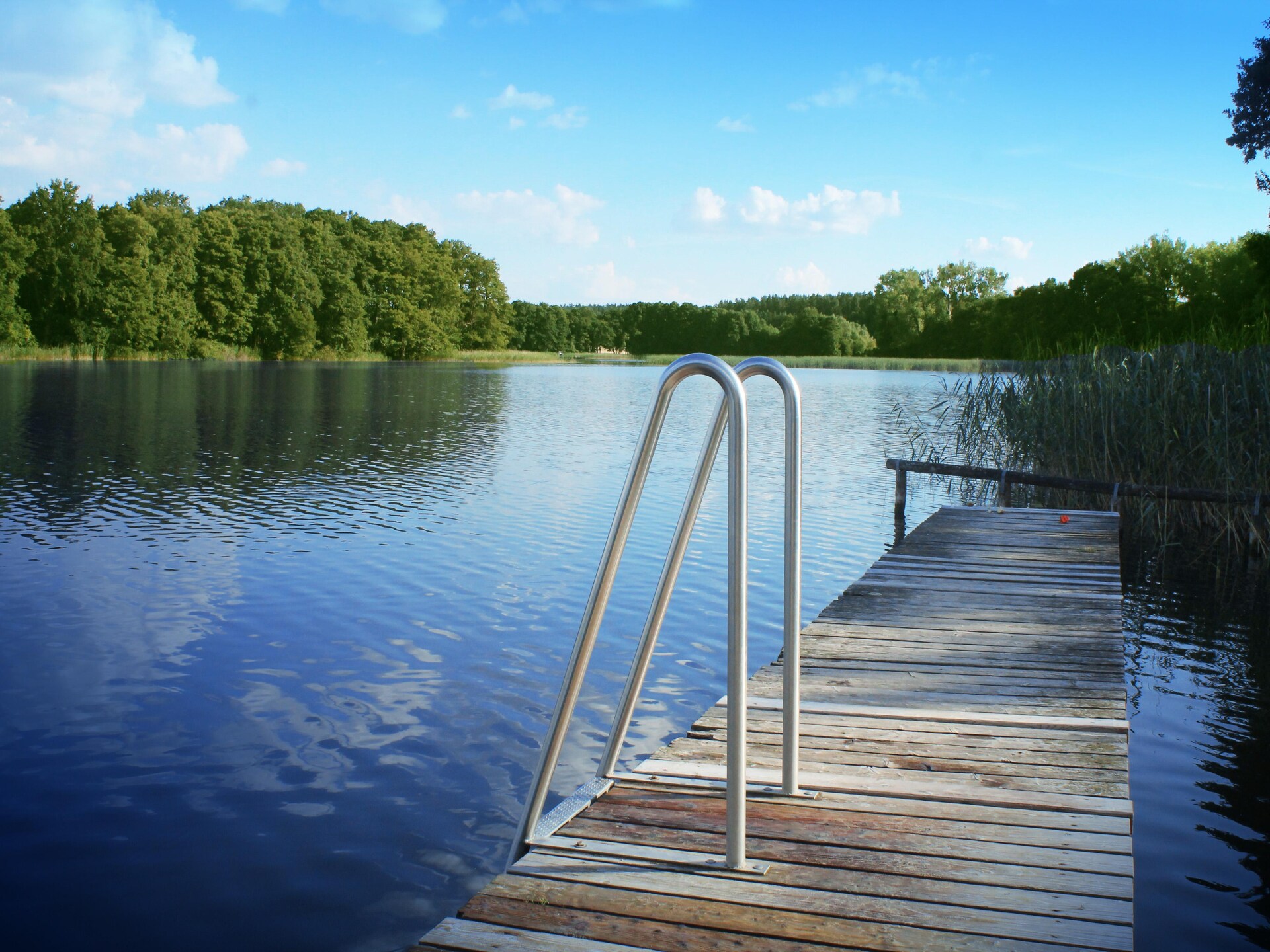 Vakantiehuis in Linstow op 1,0 km van het meer met wellness · 8 pers. - foto 23