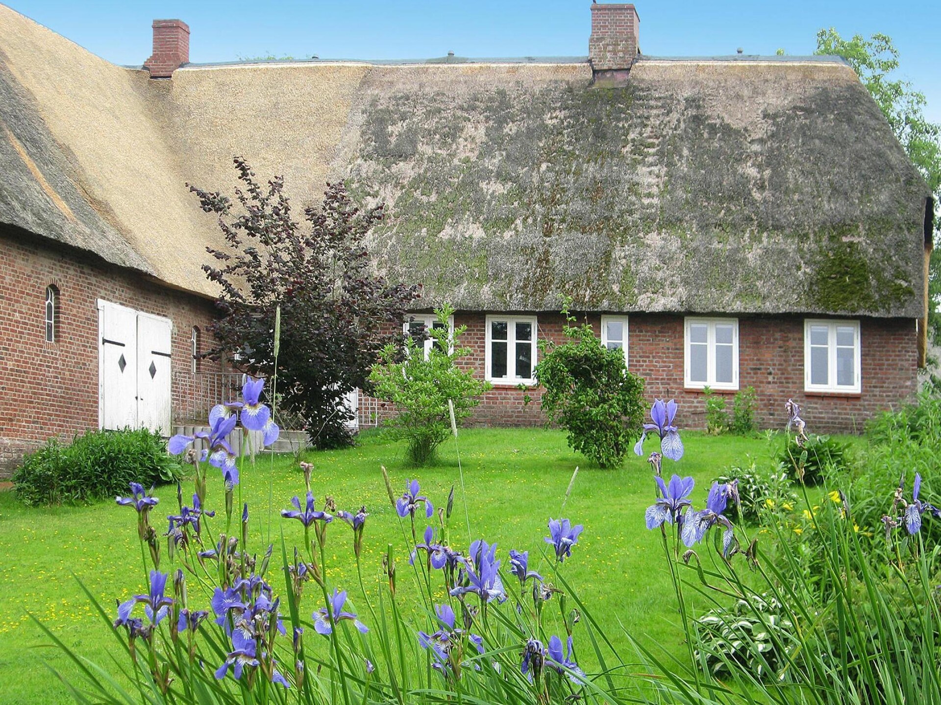 Historisch wellnesshuis met rieten dak, sauna en bubbelbad nabij de Waddenzee - foto 15
