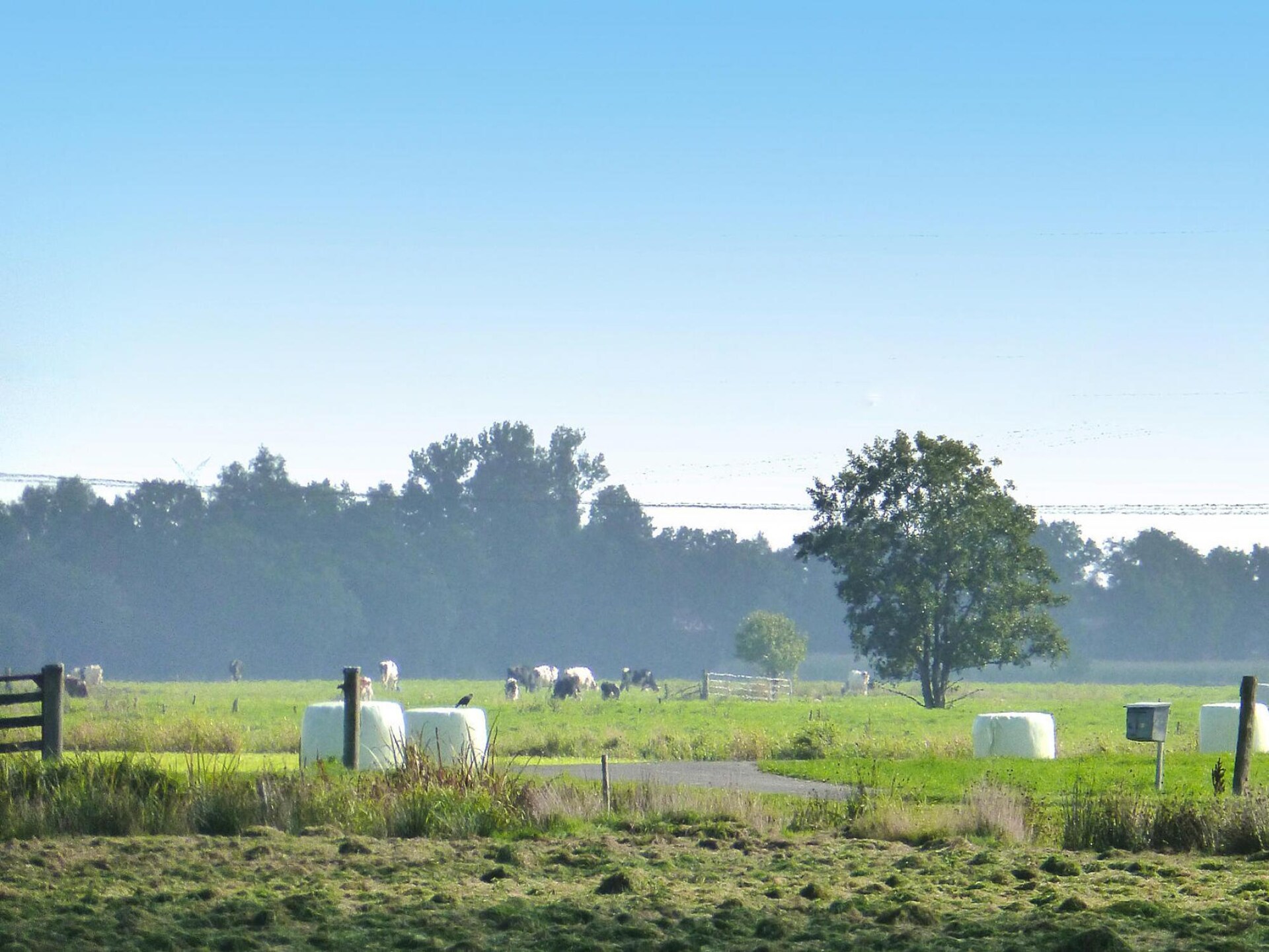 Landelijk appartement nabij Süderschwei, 6 km van strand en meer - foto 14