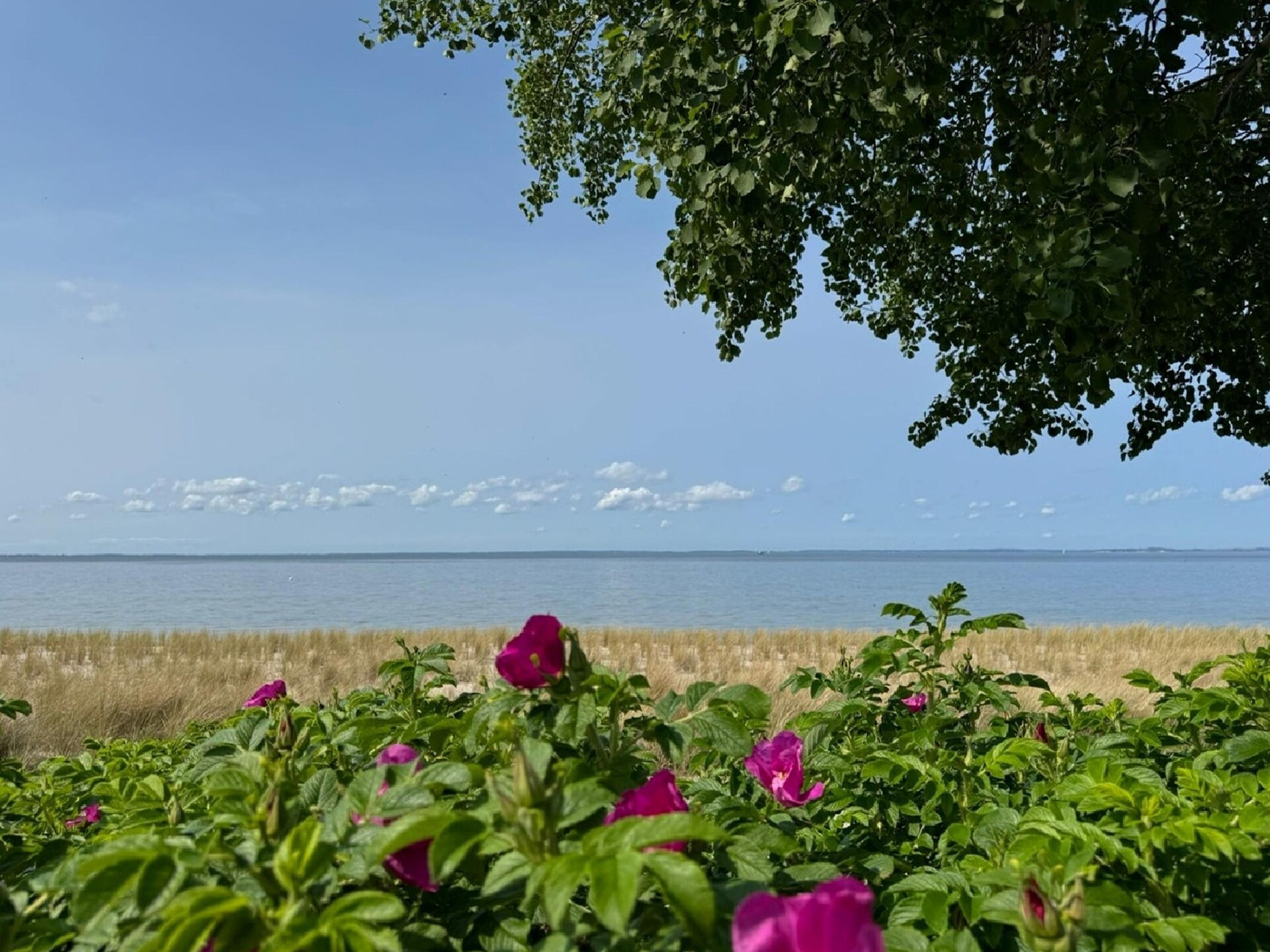 Knusse vakantiewoning op 650 meter van het strand in Lubmin - foto 35