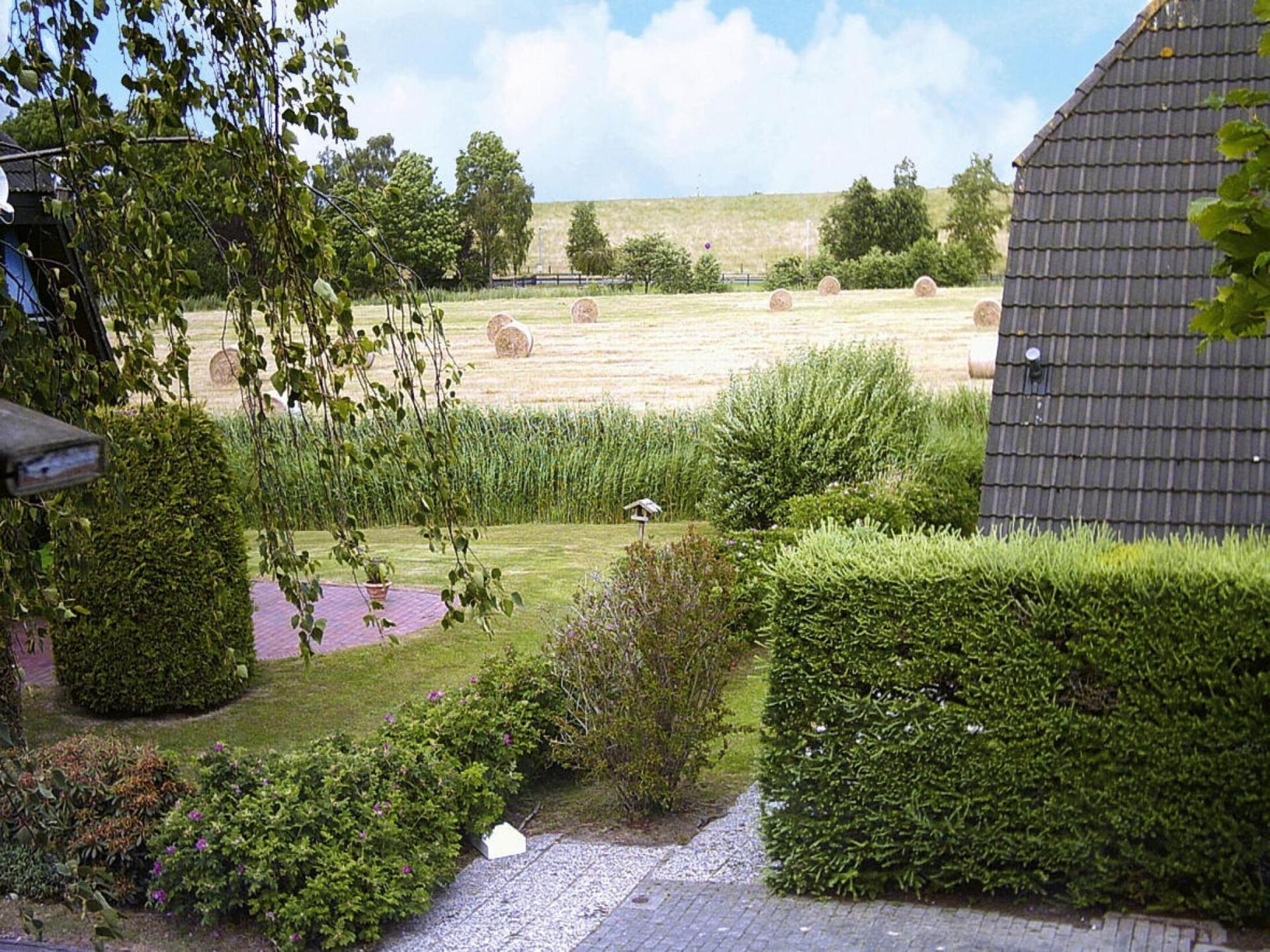 Knus Nurdachhaus in Burhave, 300m van zee en strand - foto 16