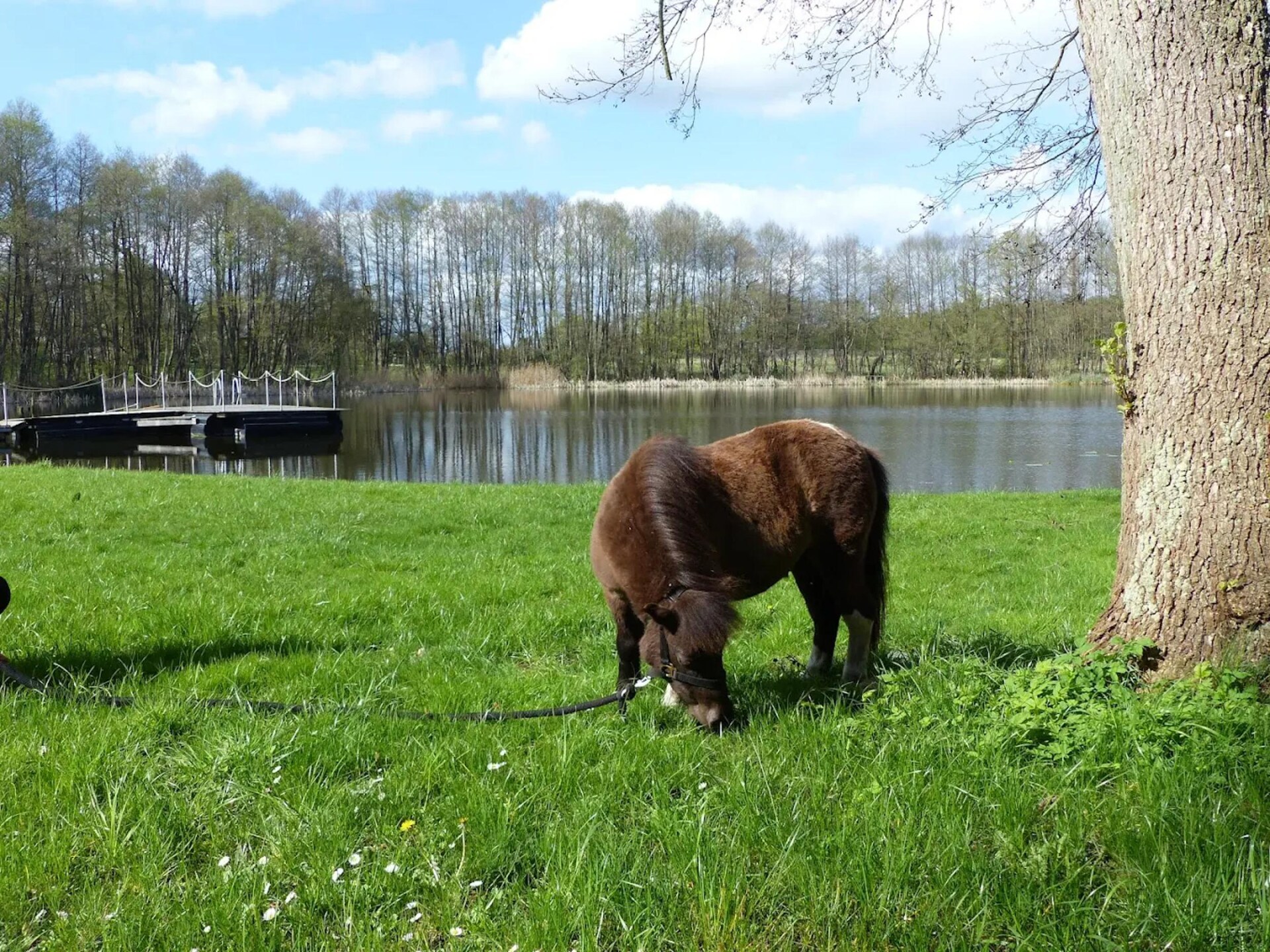 Villa Birgit: Luxe vakantiehuis voor 8 personen op golfresort bij Schwerin - foto 18