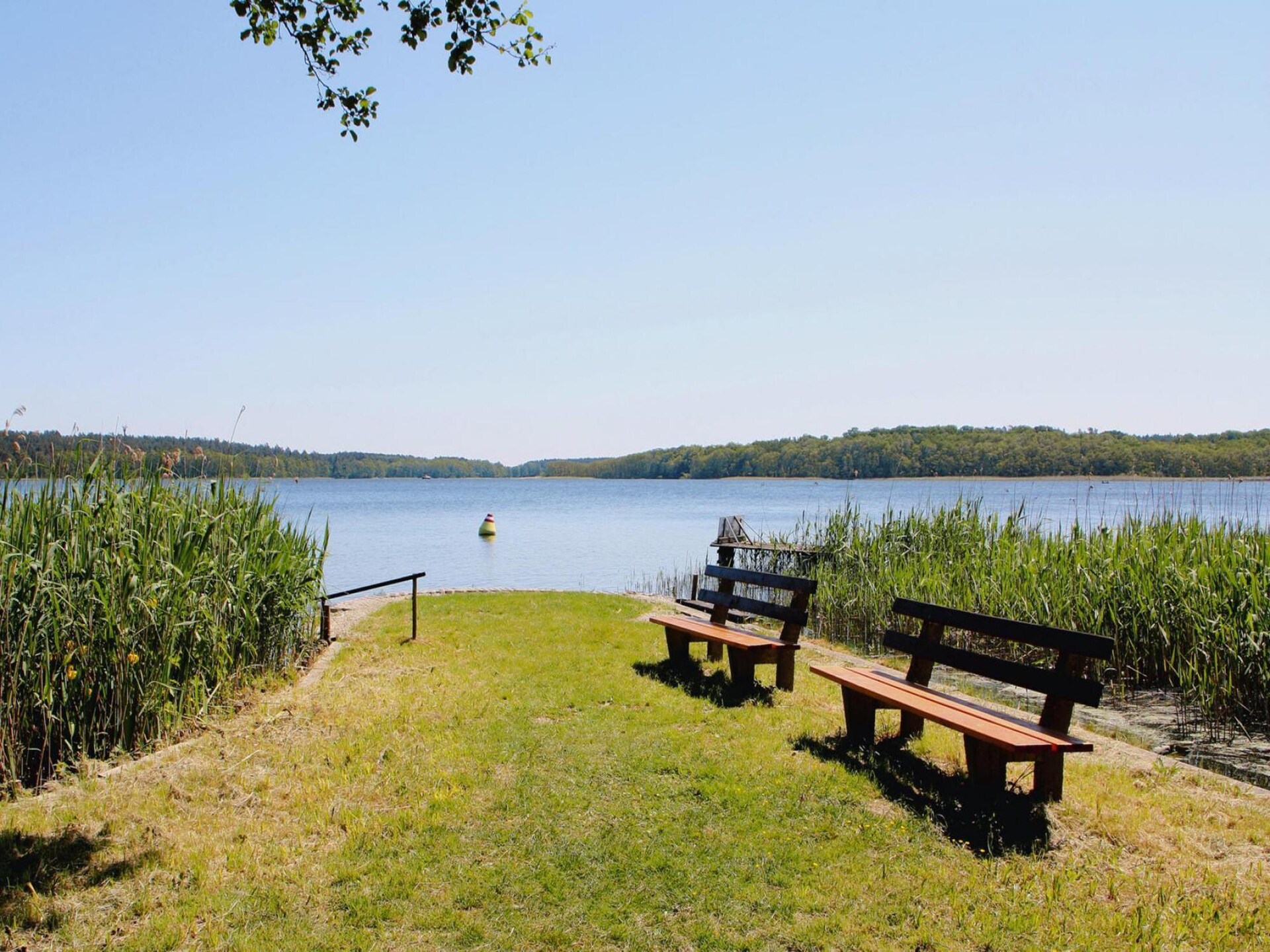 Exclusief rietgedekt vakantiehuis met sauna, 50 meter van de Jabelsche See - foto 16