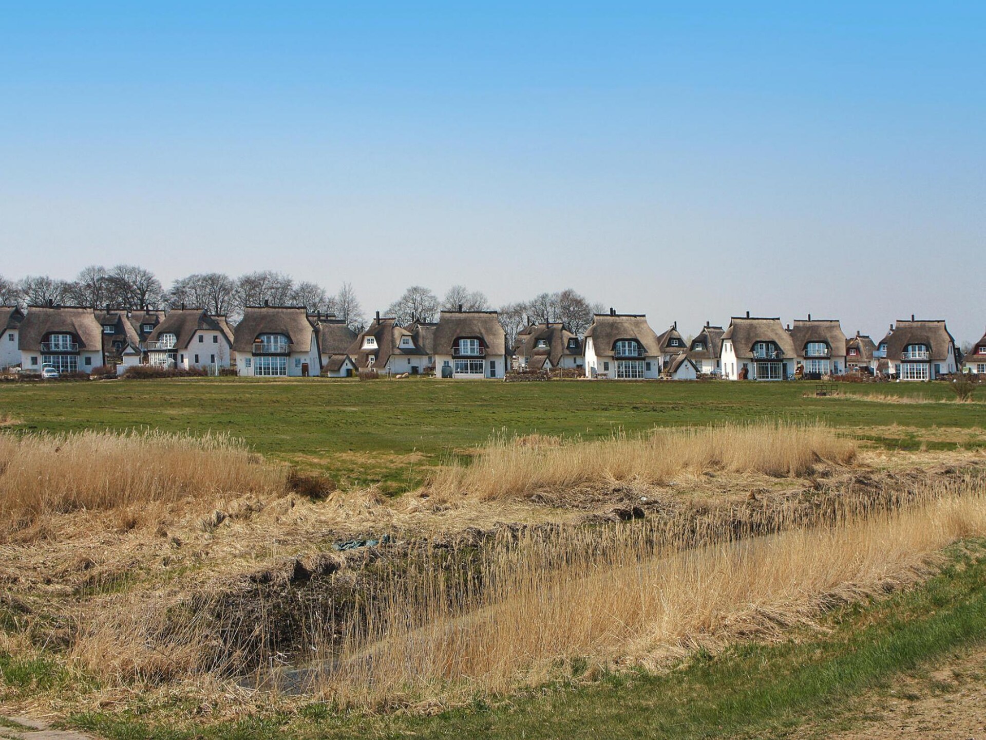Vrijstaand rieten dakvakantiehuis bij het water in Zinnowitz - foto 53
