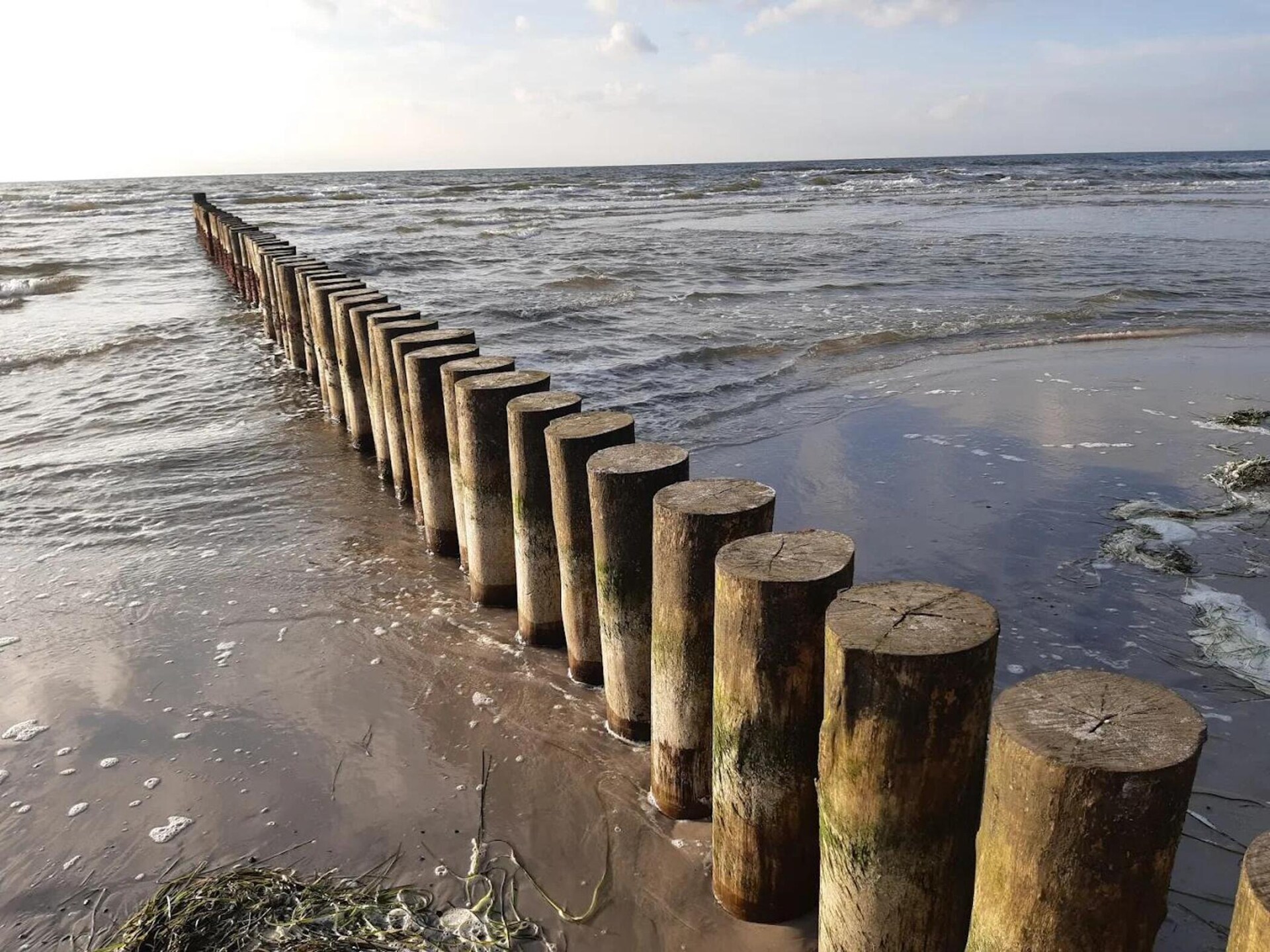Licht appartement voor 4 op Hiddensee, 200 meter van het meer en 500 meter van strand - foto 28