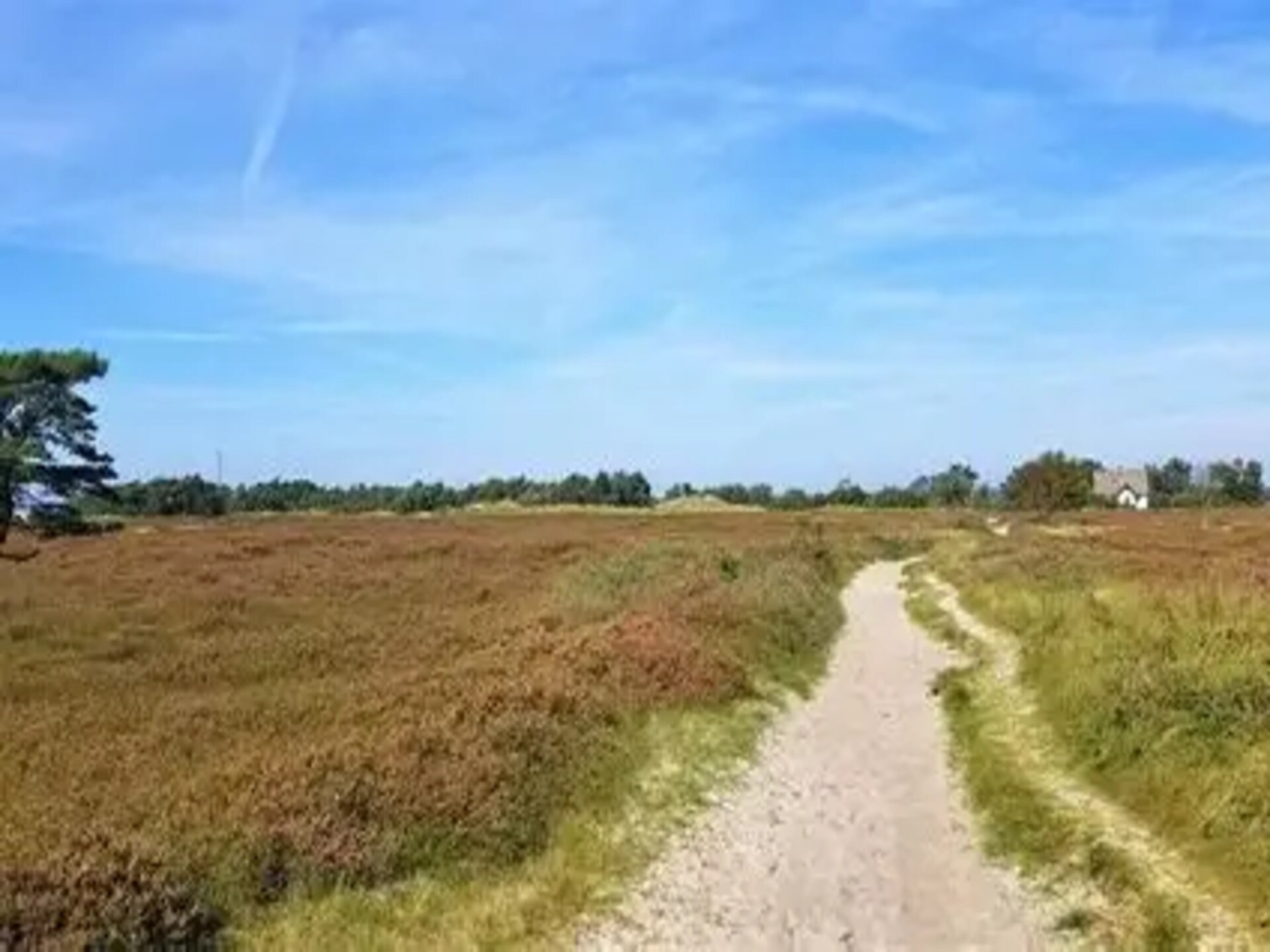 Licht appartement voor 4 op Hiddensee, 200 meter van het meer en 500 meter van strand - foto 33