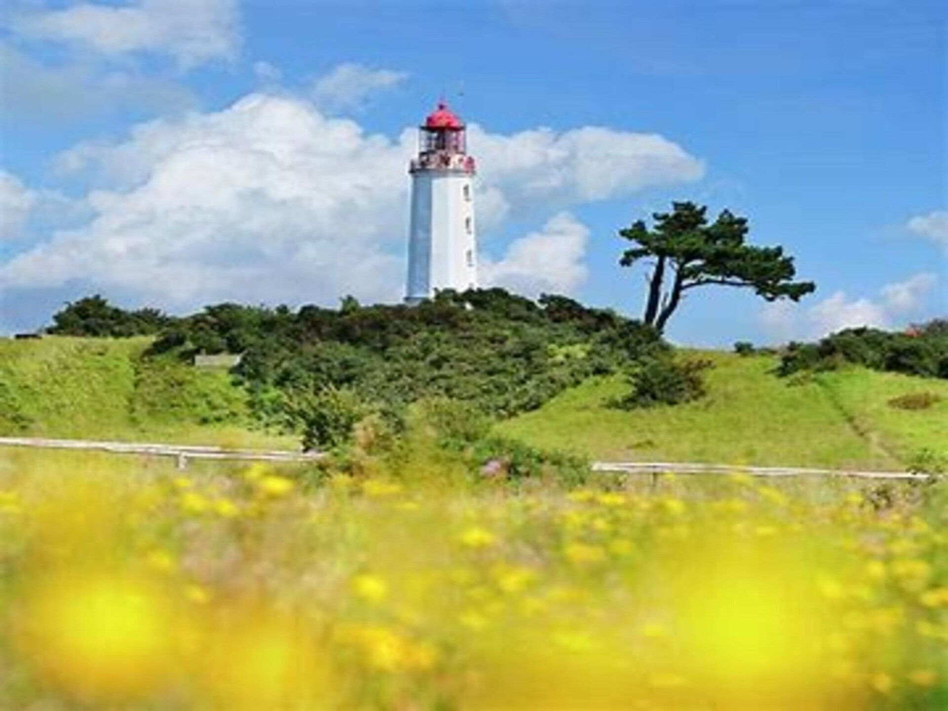 Licht appartement voor 4 op Hiddensee, 200 meter van het meer en 500 meter van strand - foto 34