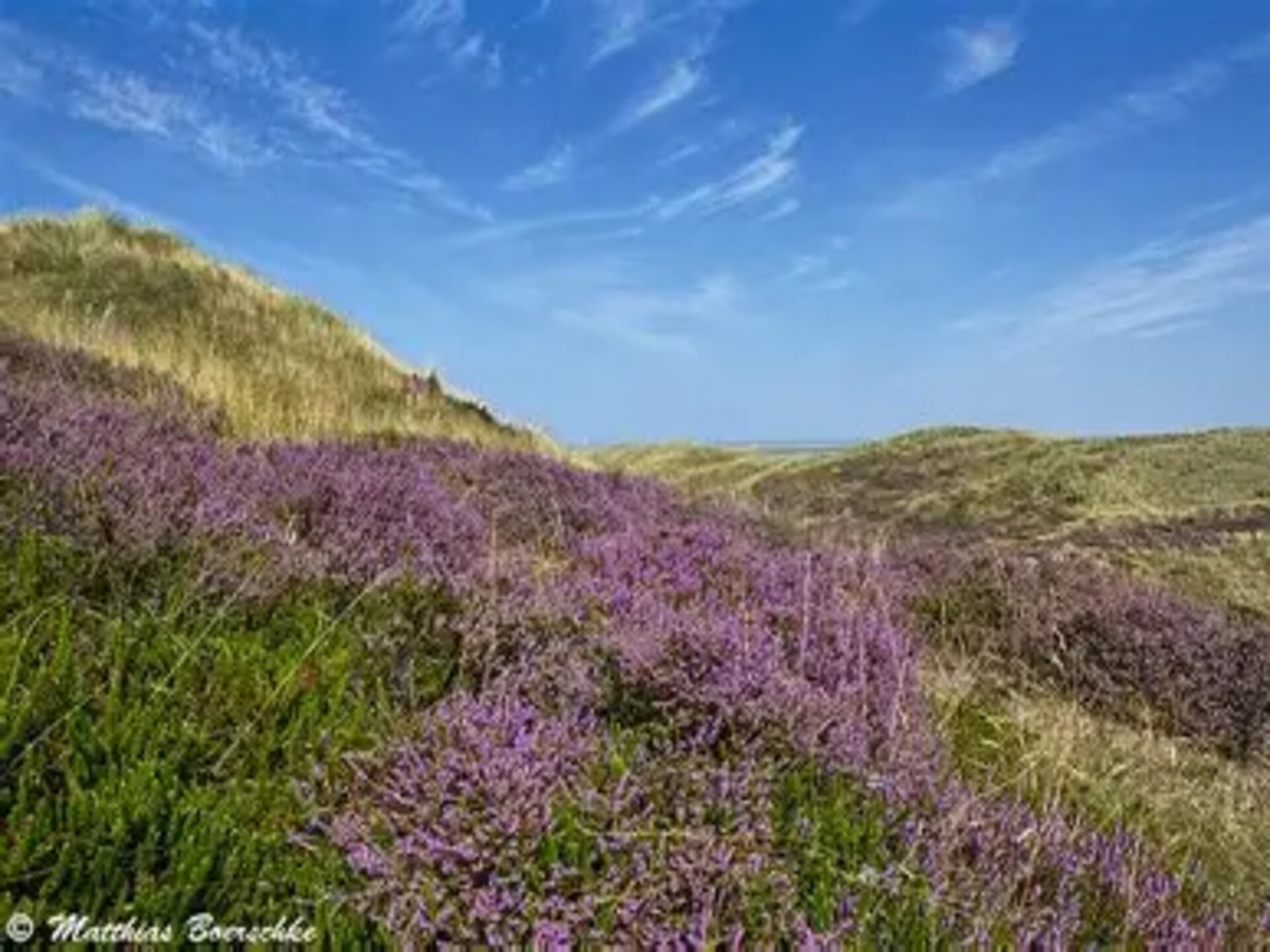 Licht appartement voor 4 op Hiddensee, 200 meter van het meer en 500 meter van strand - foto 35