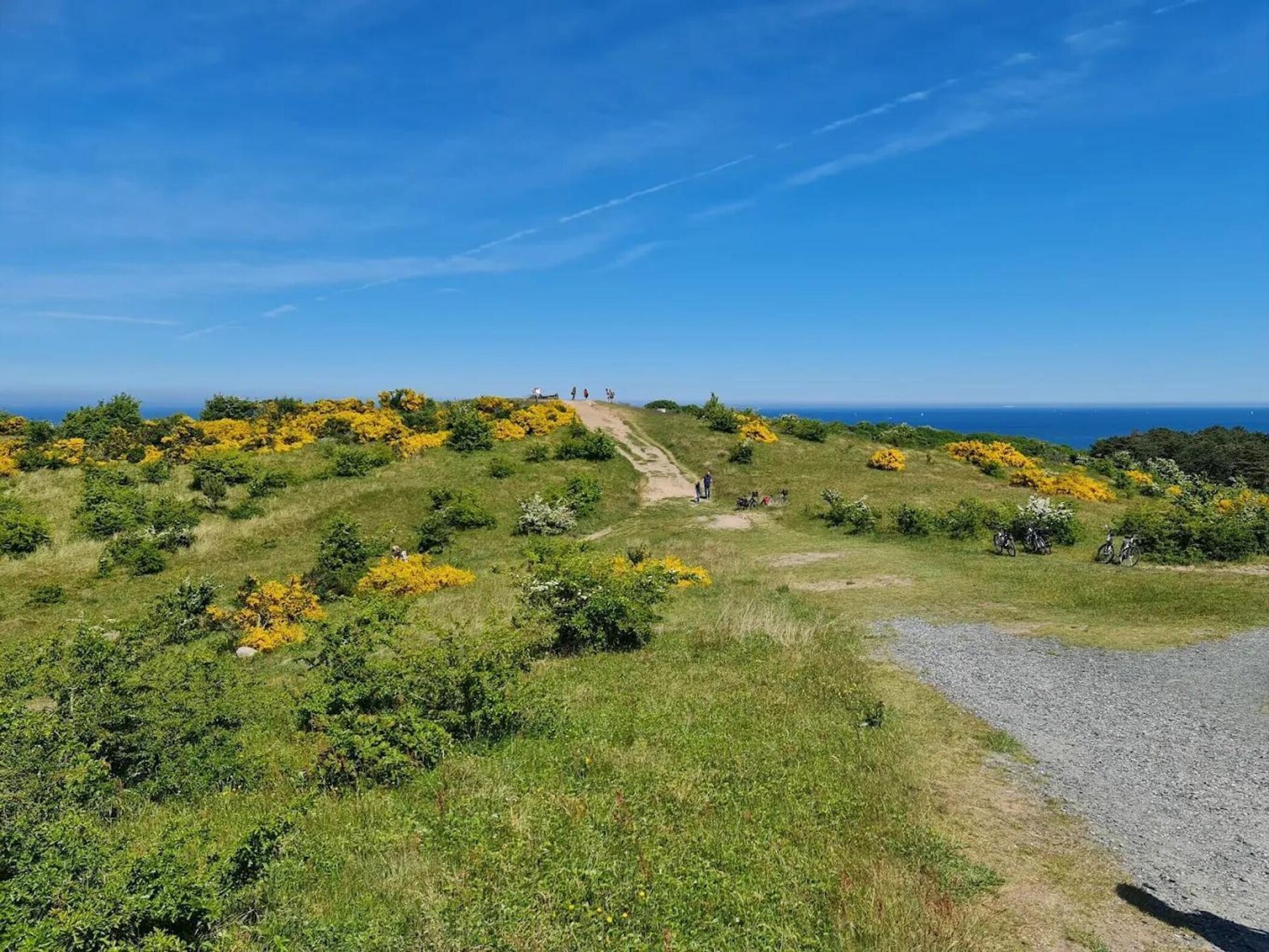 Licht appartement voor 4 op Hiddensee, 200 meter van het meer en 500 meter van strand - foto 38