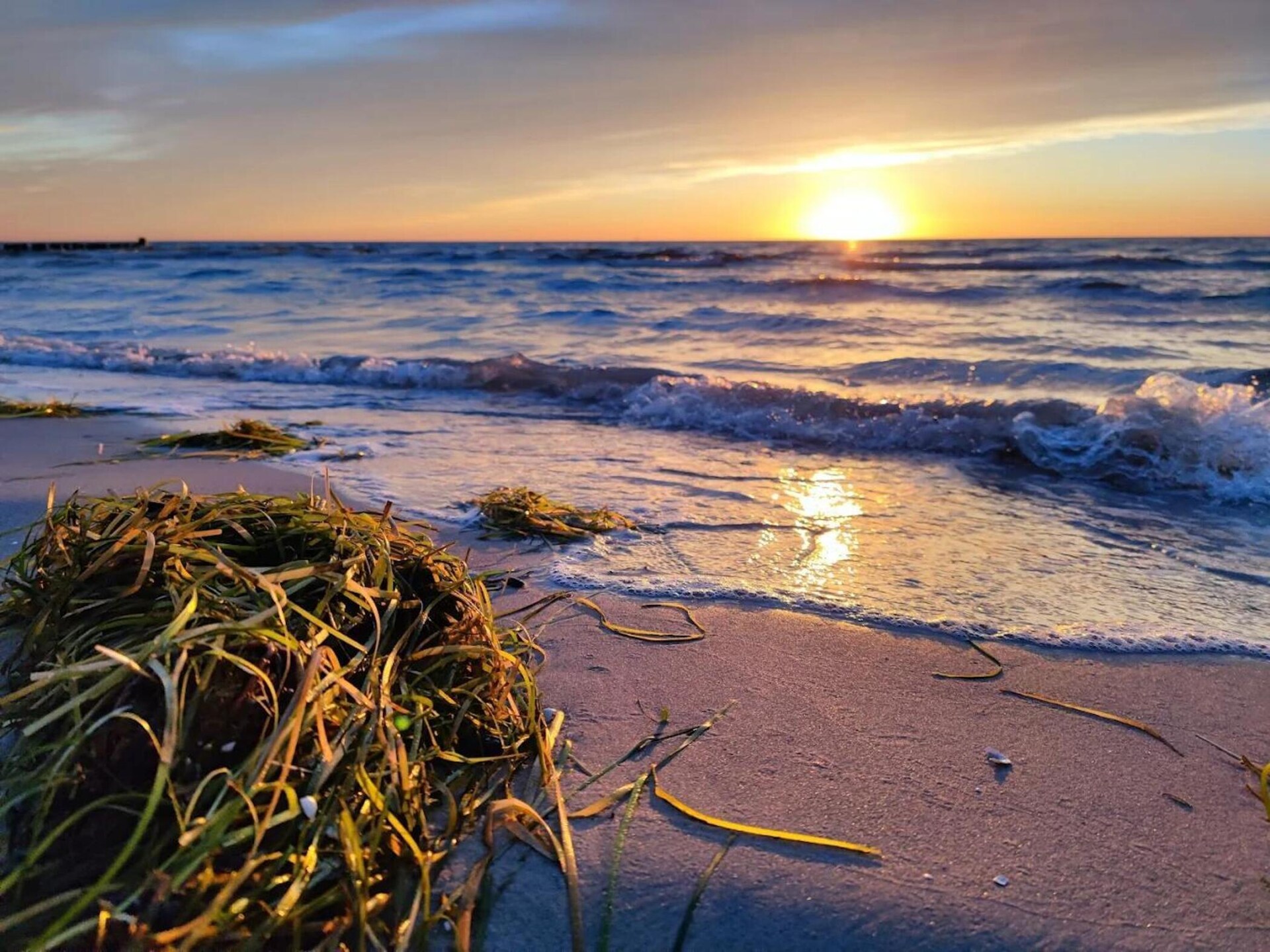 Licht appartement voor 4 op Hiddensee, 200 meter van het meer en 500 meter van strand - foto 44