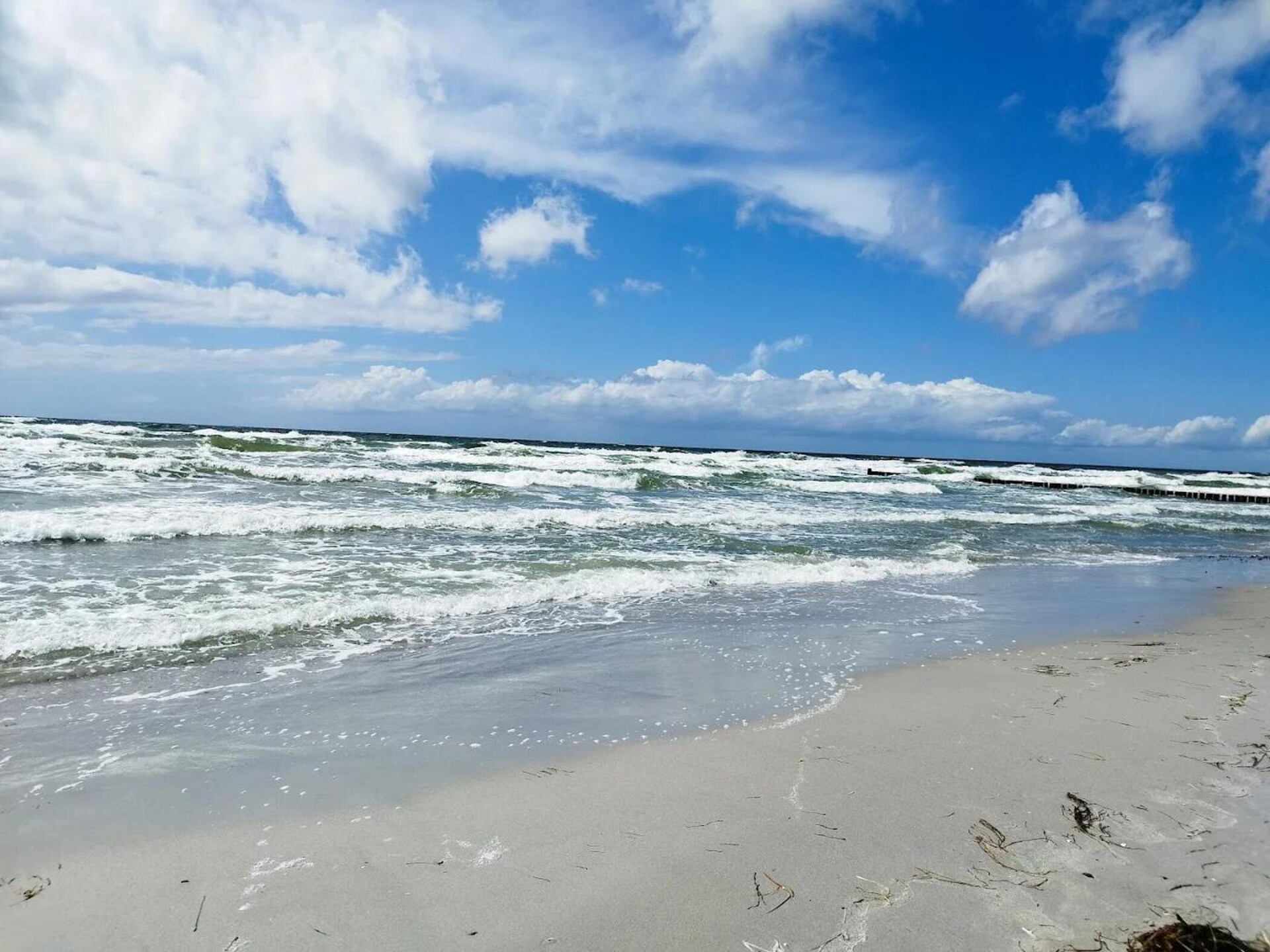 Licht appartement voor 4 op Hiddensee, 200 meter van het meer en 500 meter van strand - foto 48