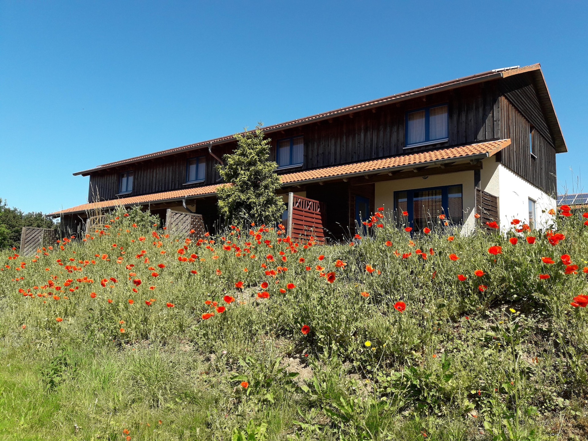 Op 400 m van de piste: gezellig vakantiehuis in Hasselfelde - foto 3