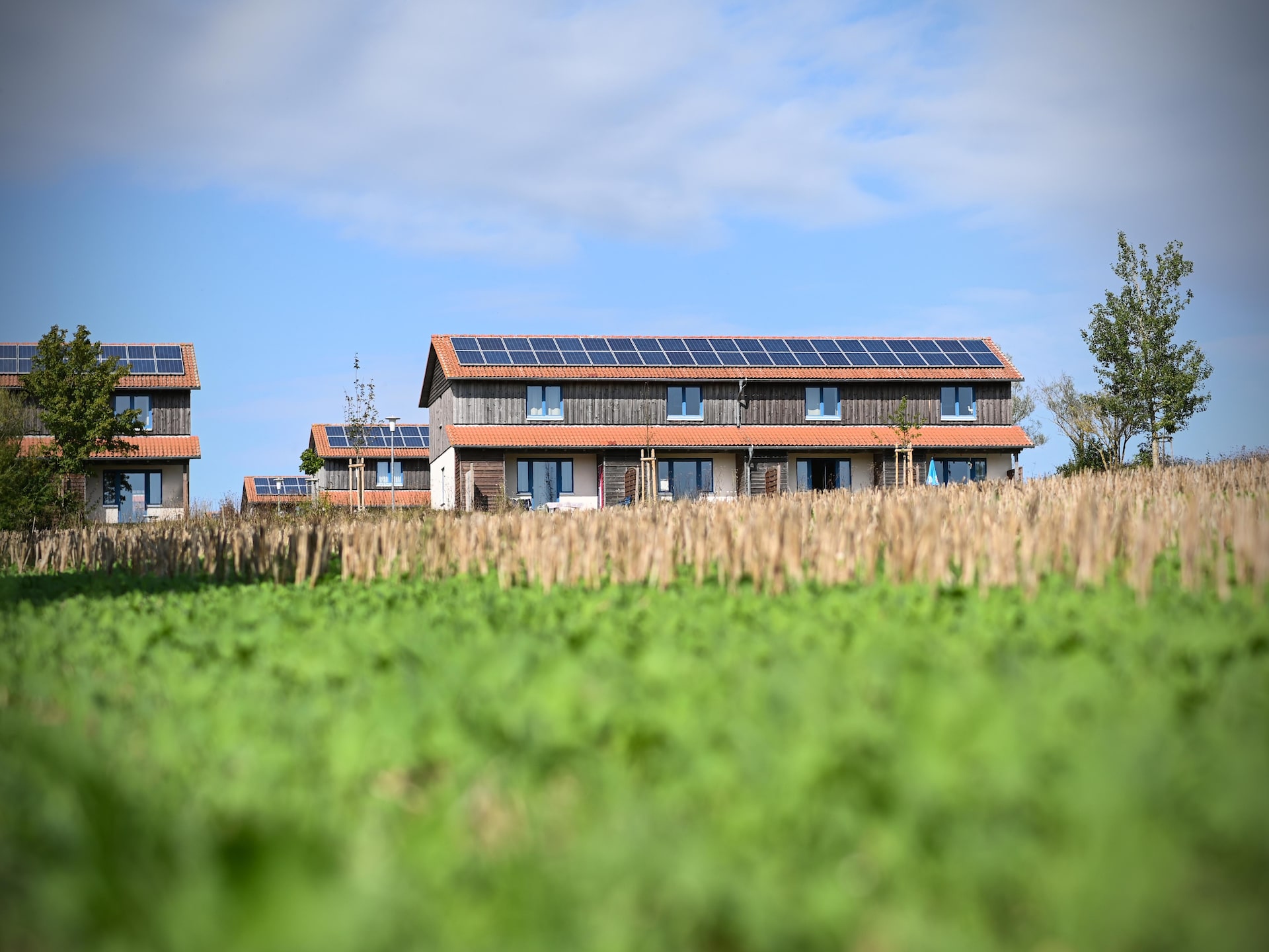 Op 400 m van de piste: gezellig vakantiehuis in Hasselfelde - foto 2