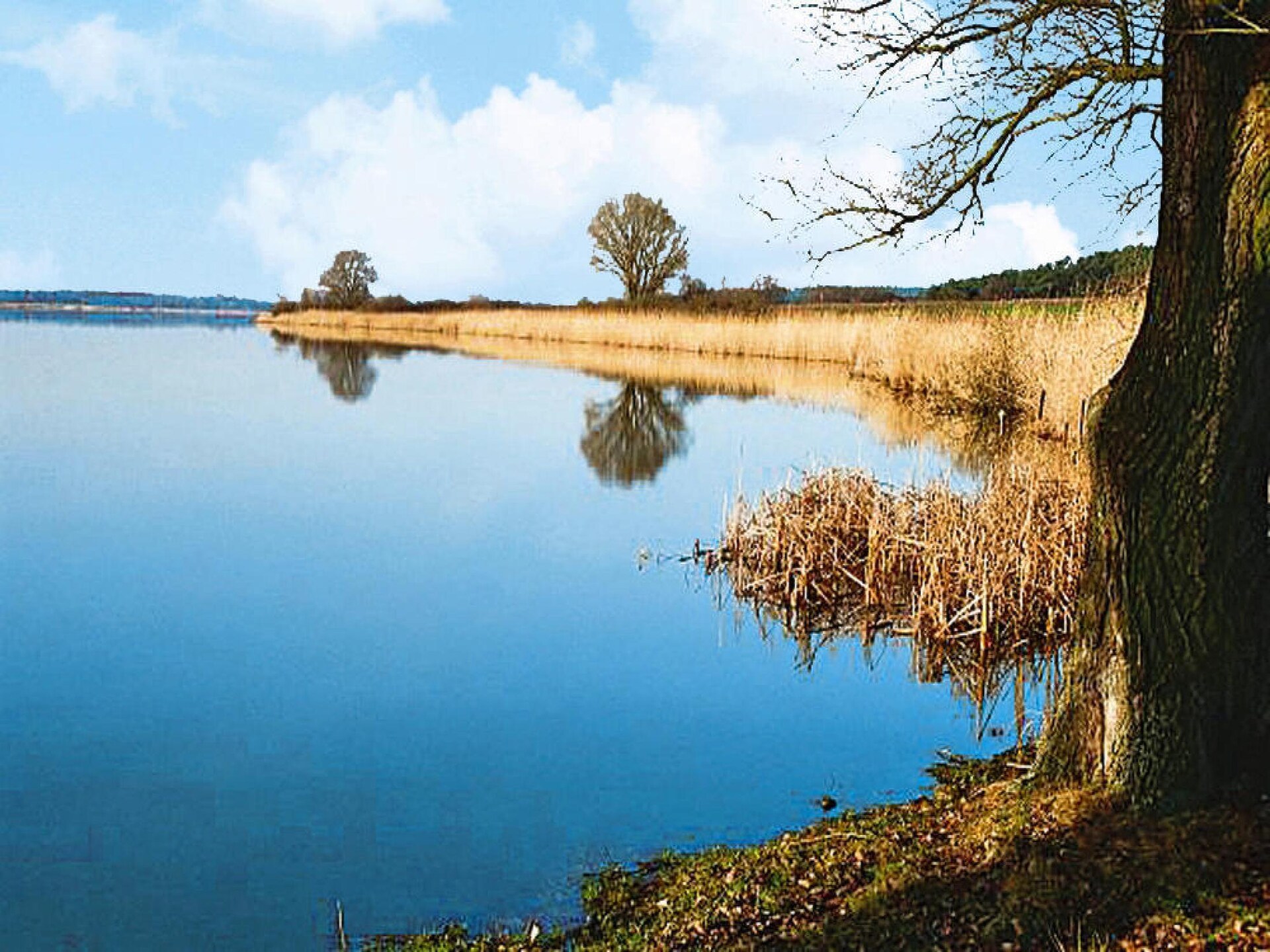 Ruim vakantieappartement op boerderij bij Beetzsee, 45 min van Berlijn - foto 16