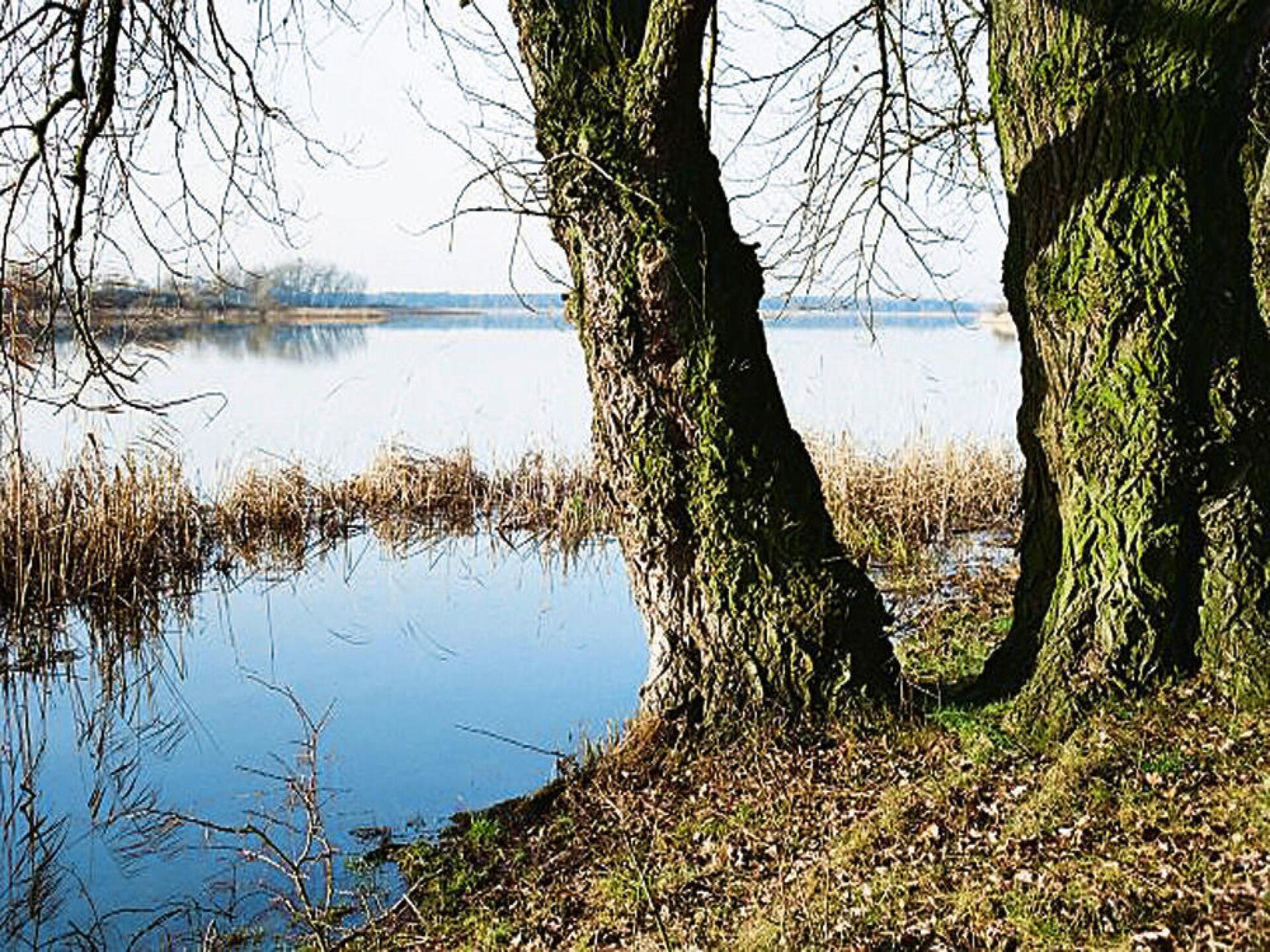 Ruim vakantieappartement op boerderij bij Beetzsee, 45 min van Berlijn - foto 17