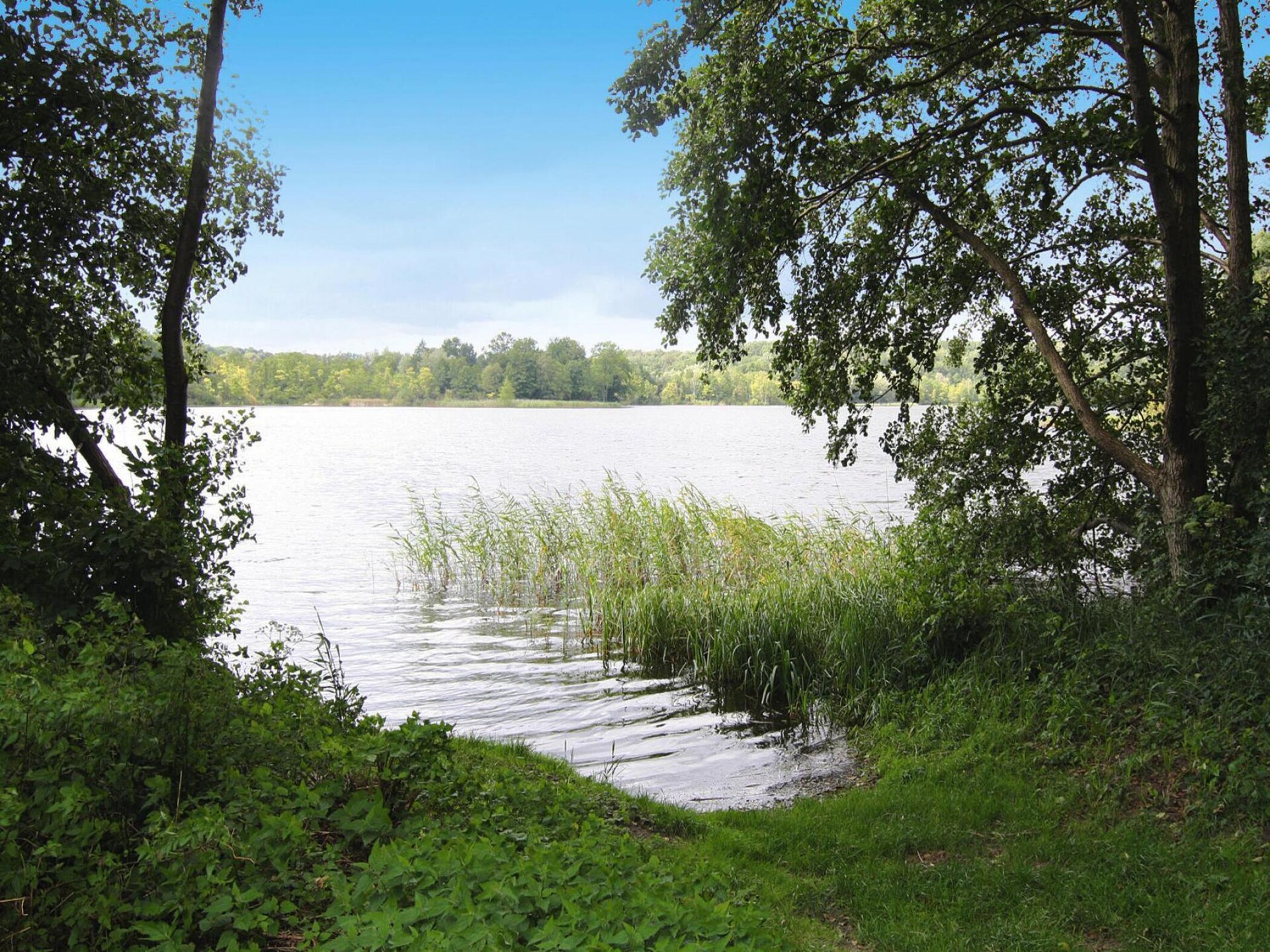 2-persoons vakantiehuis aan het meer in Feldberger Seenlandschaft - foto 13